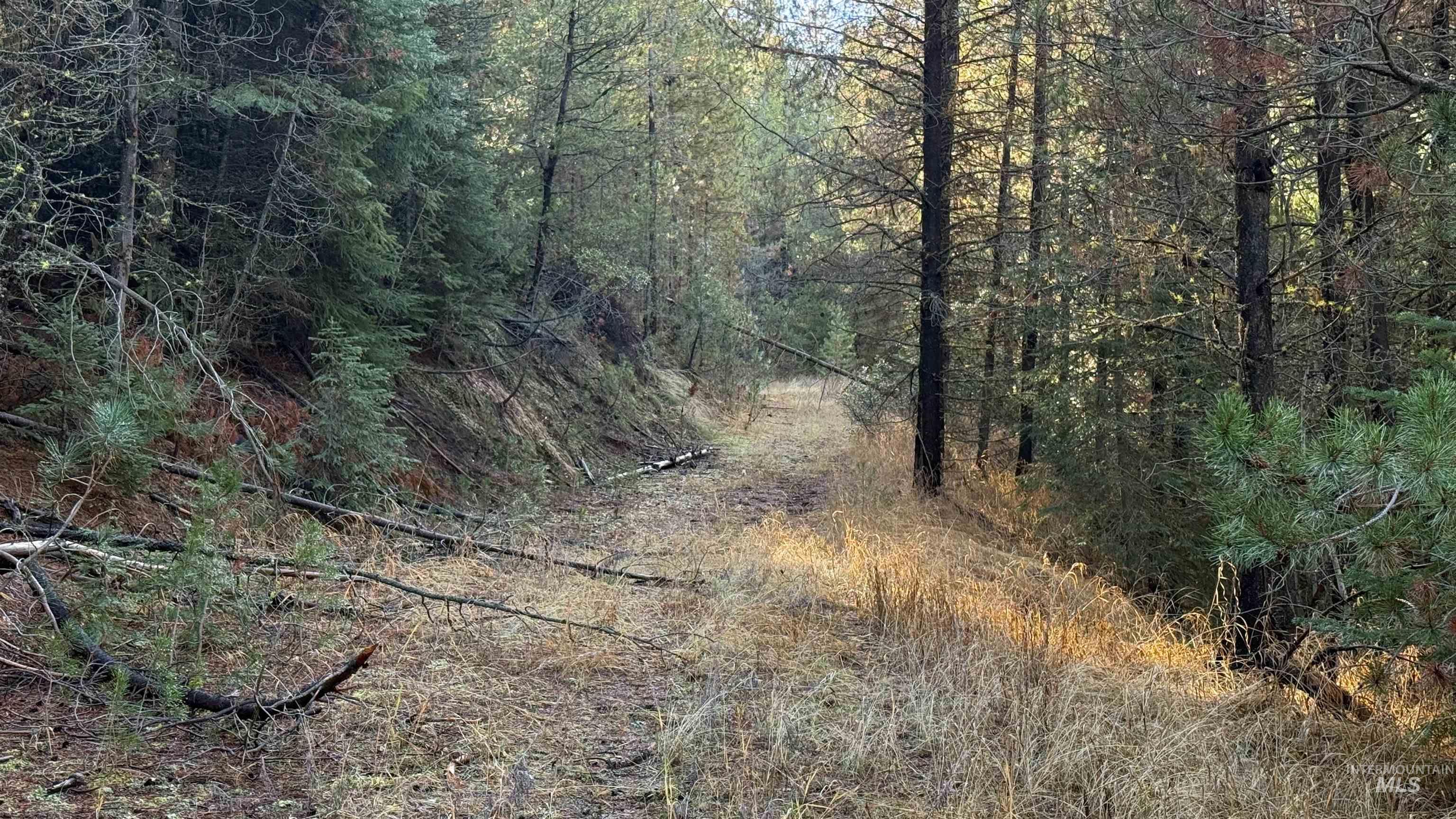 20.01 ac TBD Smith Ferry Dr, Smiths Ferry, Idaho 83611, Land For Sale, Price $375,000, 98982786