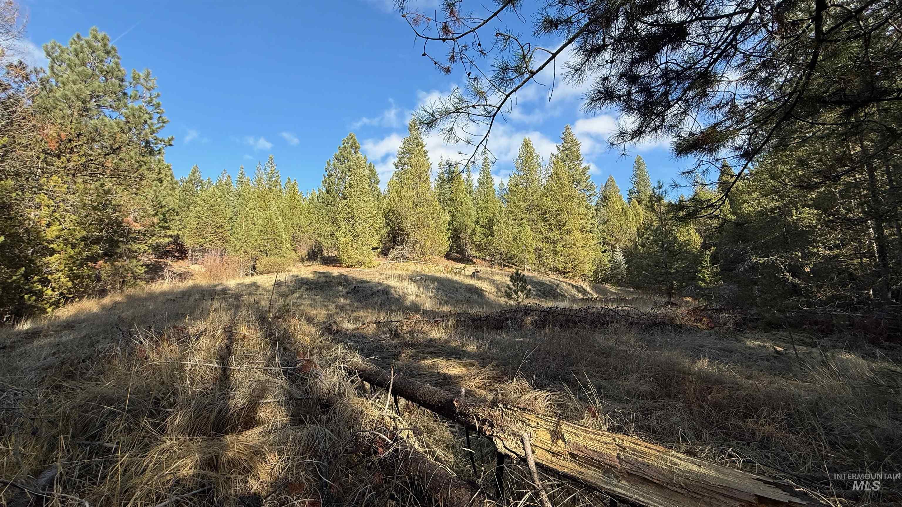 20.01 ac TBD Smith Ferry Dr, Smiths Ferry, Idaho 83611, Land For Sale, Price $375,000, 98982786