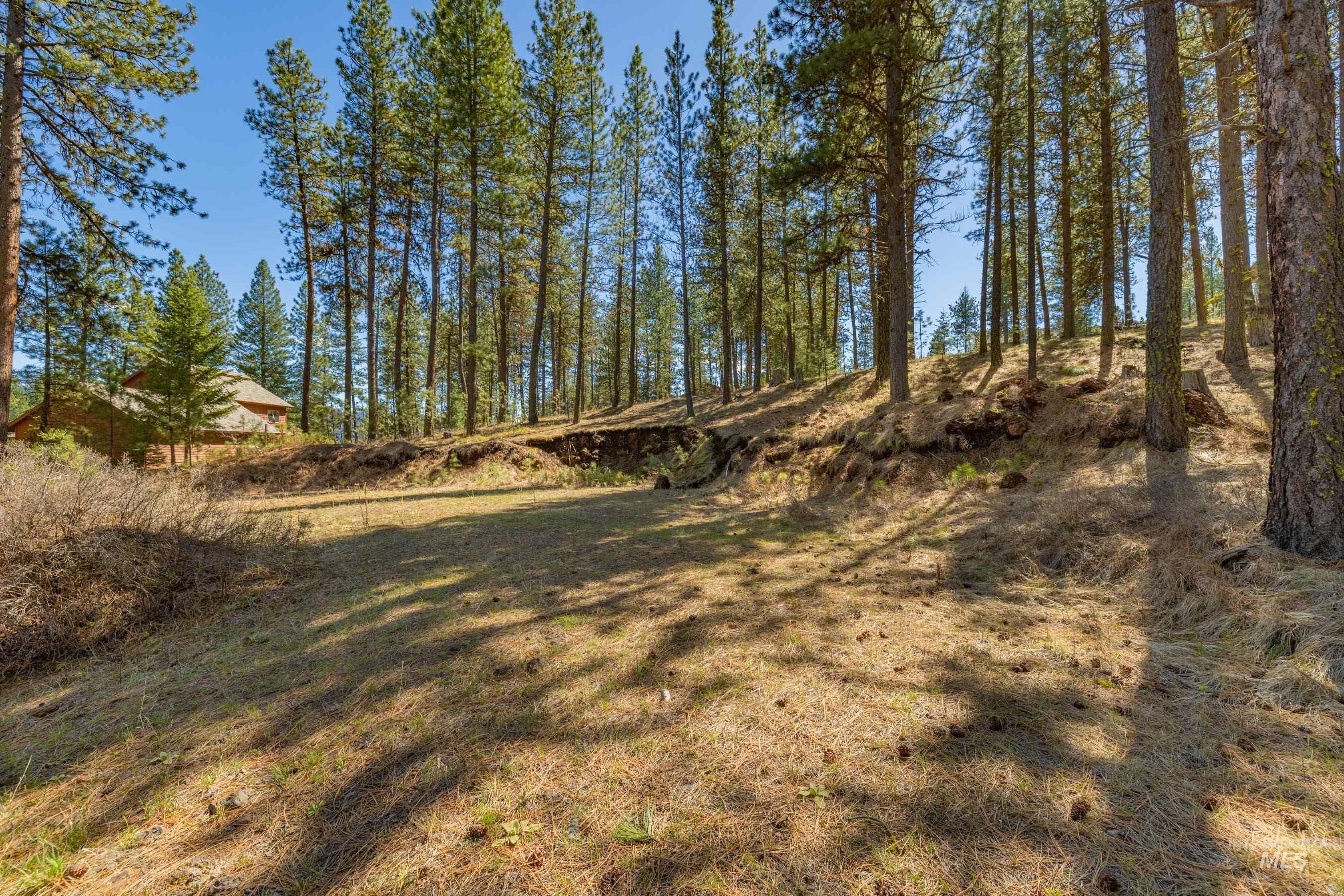 Lot 27 Hot Springs Road, New Meadows, Idaho 83654, Land For Sale, Price $89,900,MLS 98982795