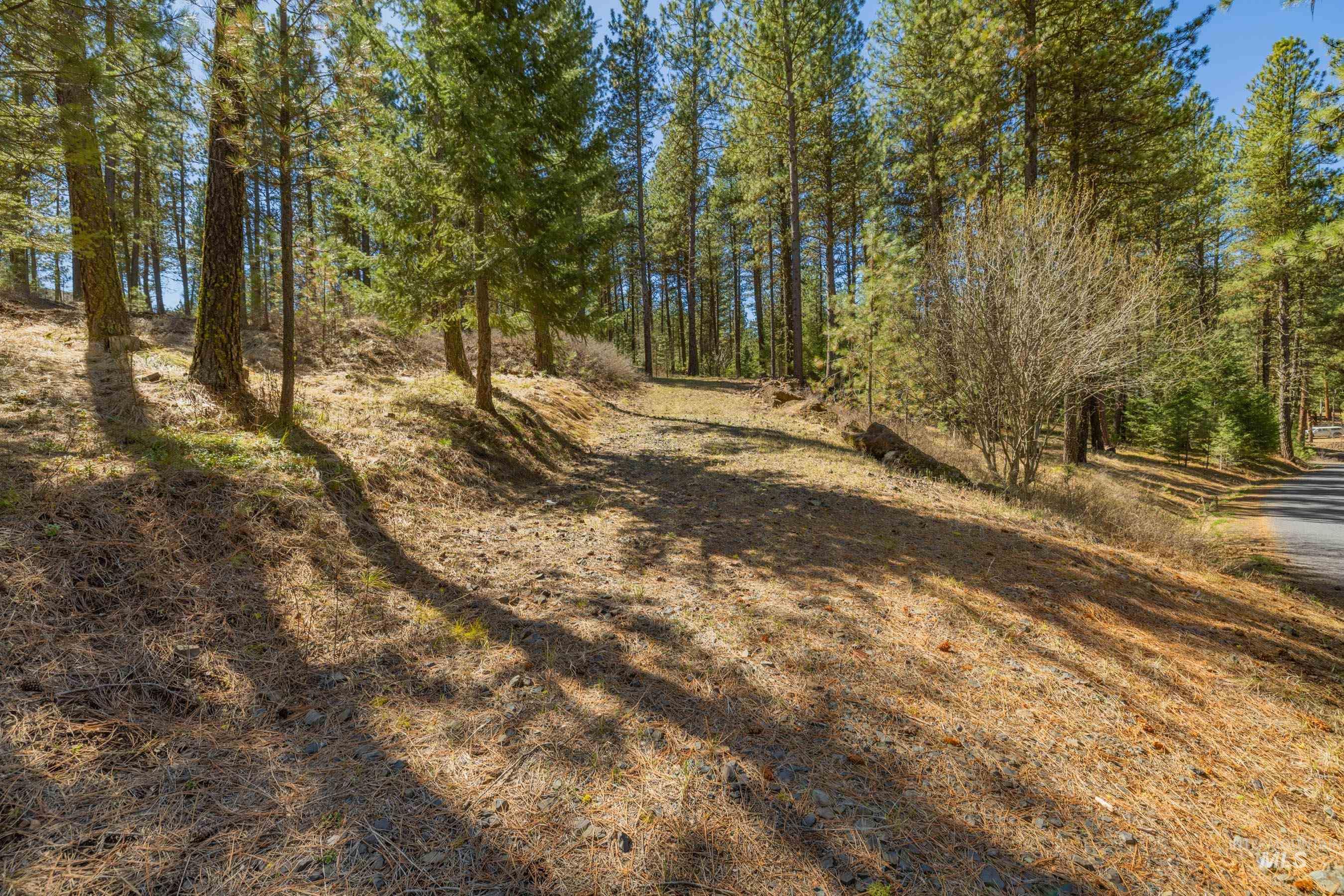 Lot 27 Hot Springs Road, New Meadows, Idaho 83654, Land For Sale, Price $89,900,MLS 98982795