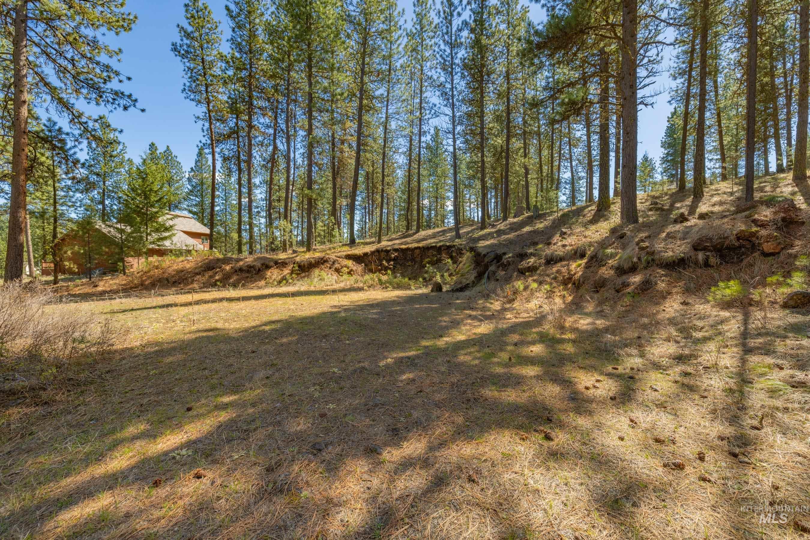 Lot 27 Hot Springs Road, New Meadows, Idaho 83654, Land For Sale, Price $89,900,MLS 98982795