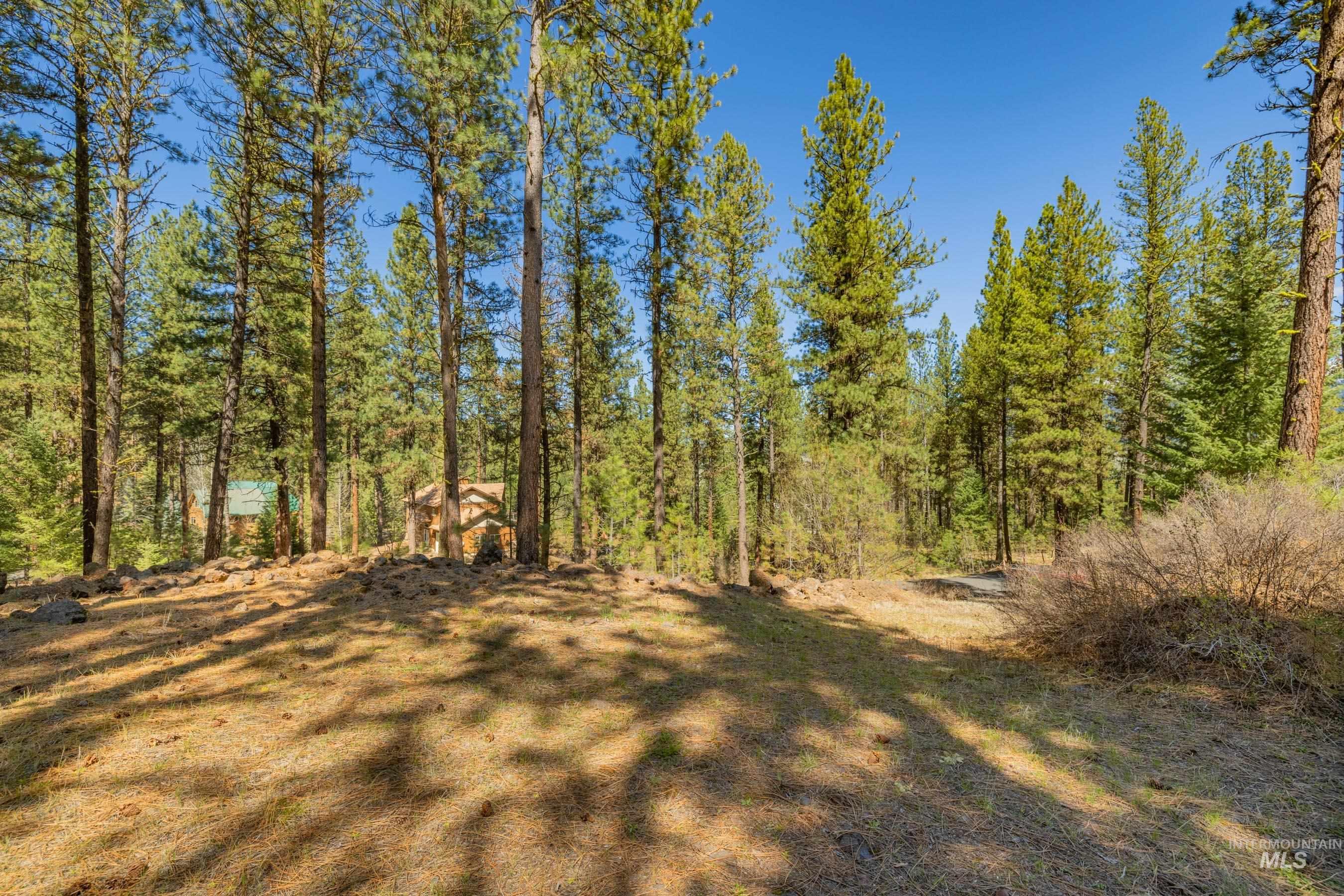 Lot 27 Hot Springs Road, New Meadows, Idaho 83654, Land For Sale, Price $89,900,MLS 98982795