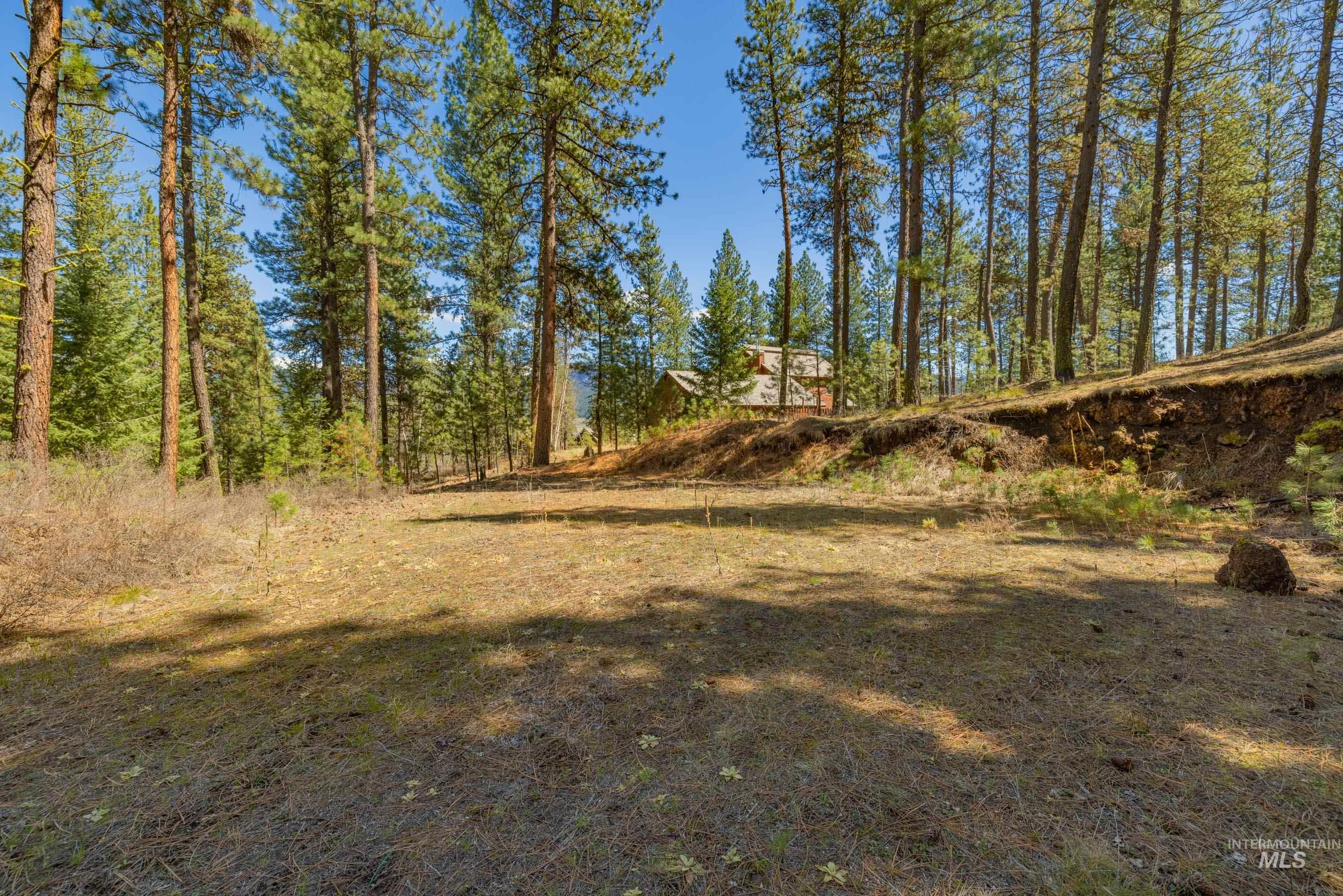 Lot 27 Hot Springs Road, New Meadows, Idaho 83654, Land For Sale, Price $89,900,MLS 98982795