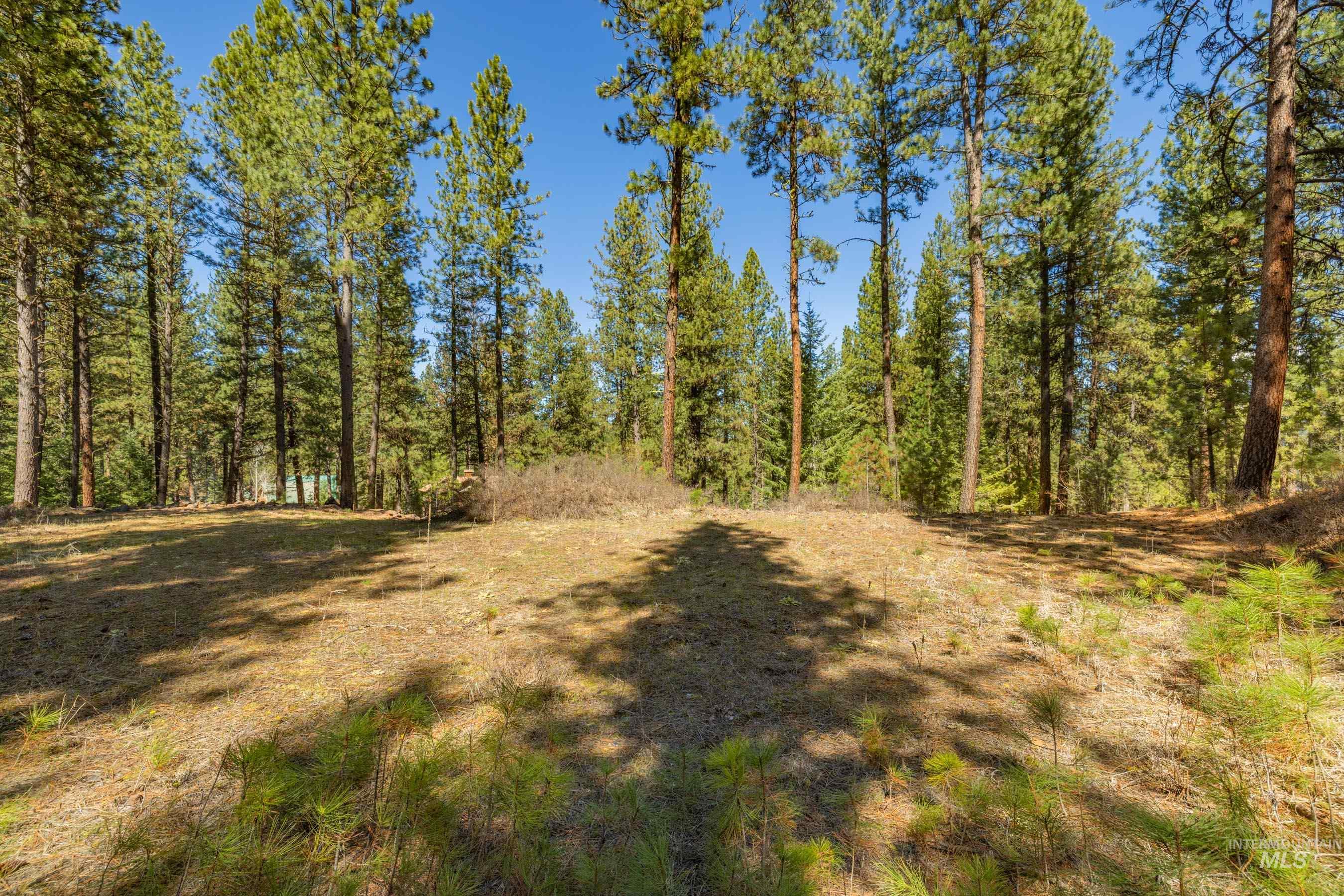 Lot 27 Hot Springs Road, New Meadows, Idaho 83654, Land For Sale, Price $89,900,MLS 98982795