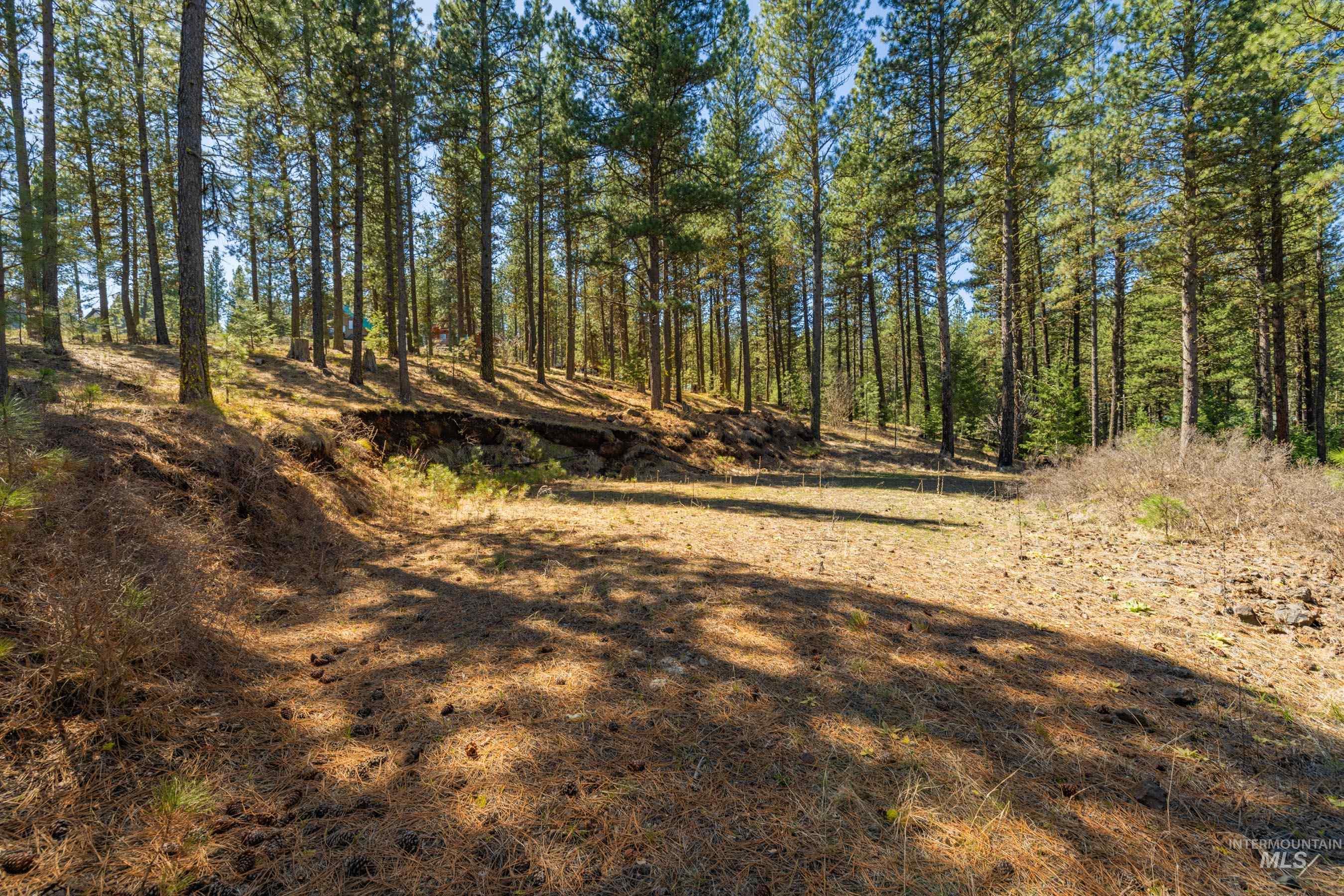 Lot 27 Hot Springs Road, New Meadows, Idaho 83654, Land For Sale, Price $89,900,MLS 98982795