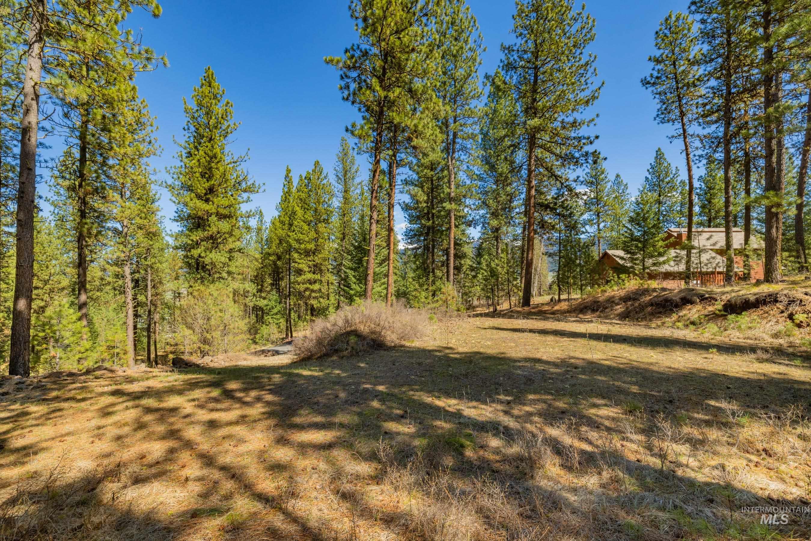 Lot 27 Hot Springs Road, New Meadows, Idaho 83654, Land For Sale, Price $89,900,MLS 98982795
