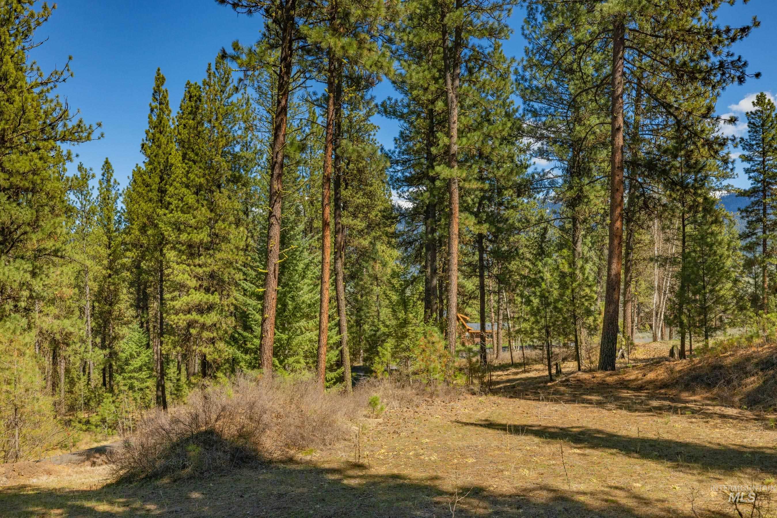 Lot 27 Hot Springs Road, New Meadows, Idaho 83654, Land For Sale, Price $89,900,MLS 98982795