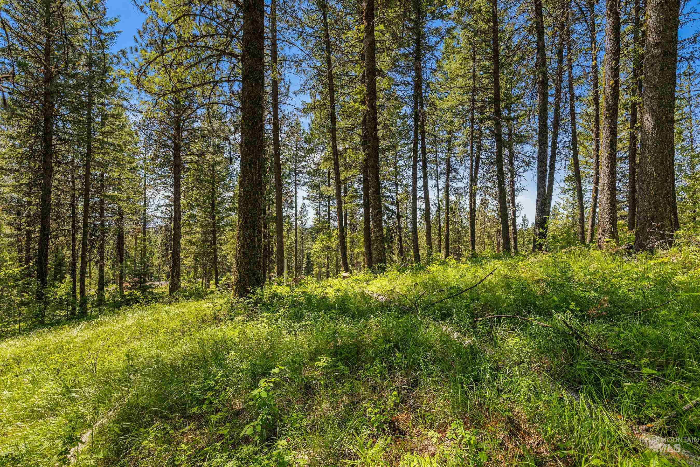 2 Spruce Hill Road, McCall, Idaho 83638, Land For Sale, Price $381,650,MLS 98982797