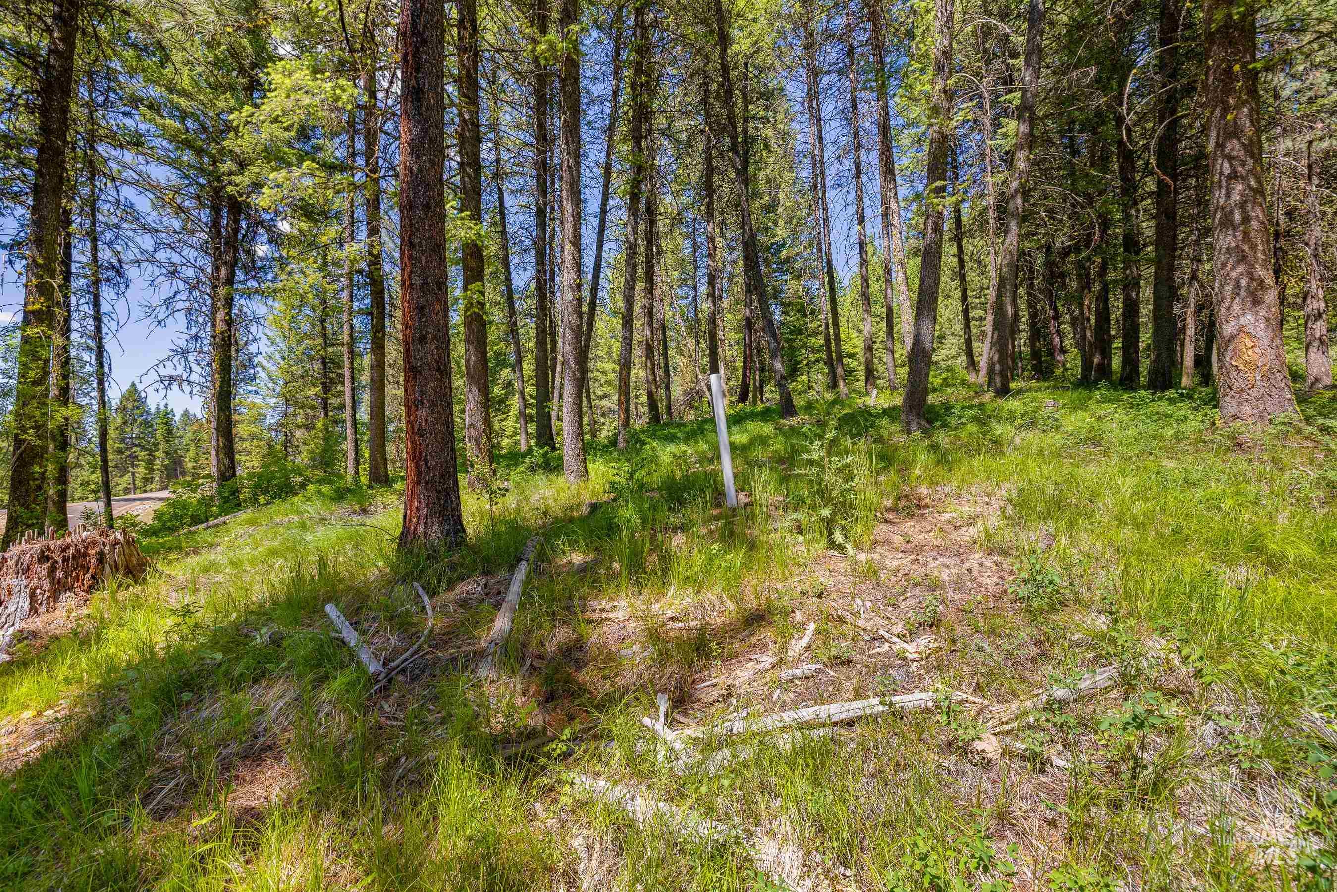 2 Spruce Hill Road, McCall, Idaho 83638, Land For Sale, Price $381,650,MLS 98982797