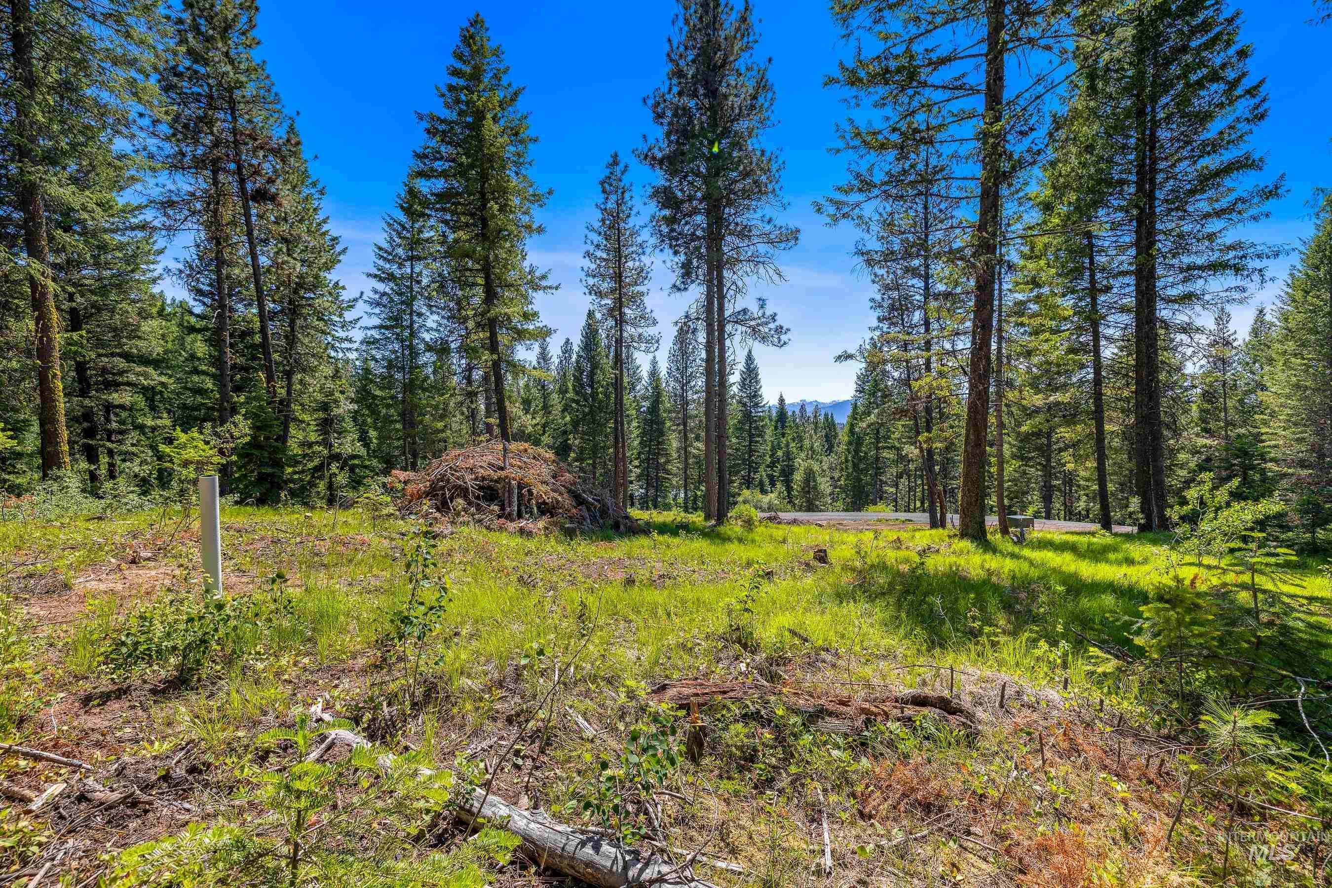 2 Spruce Hill Road, McCall, Idaho 83638, Land For Sale, Price $381,650,MLS 98982797