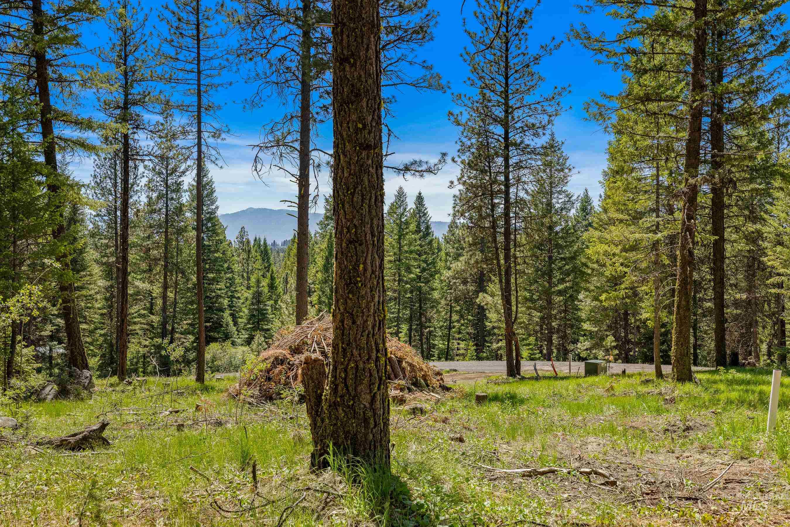 2 Spruce Hill Road, McCall, Idaho 83638, Land For Sale, Price $381,650,MLS 98982797