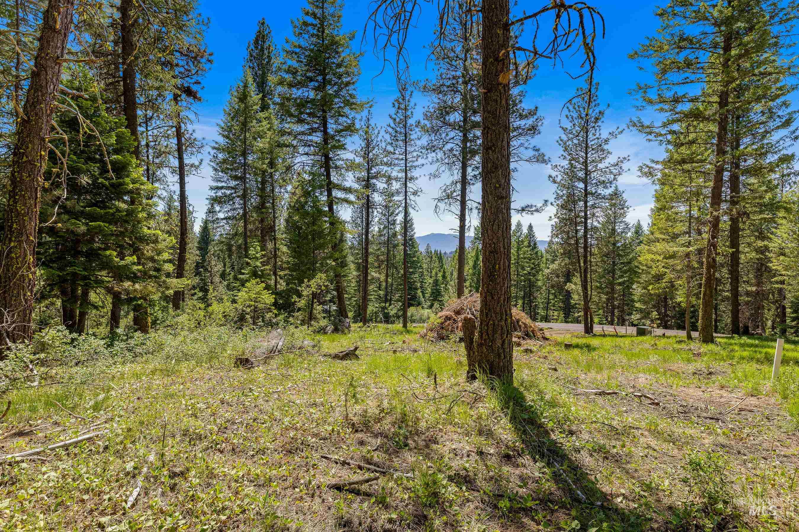2 Spruce Hill Road, McCall, Idaho 83638, Land For Sale, Price $381,650,MLS 98982797