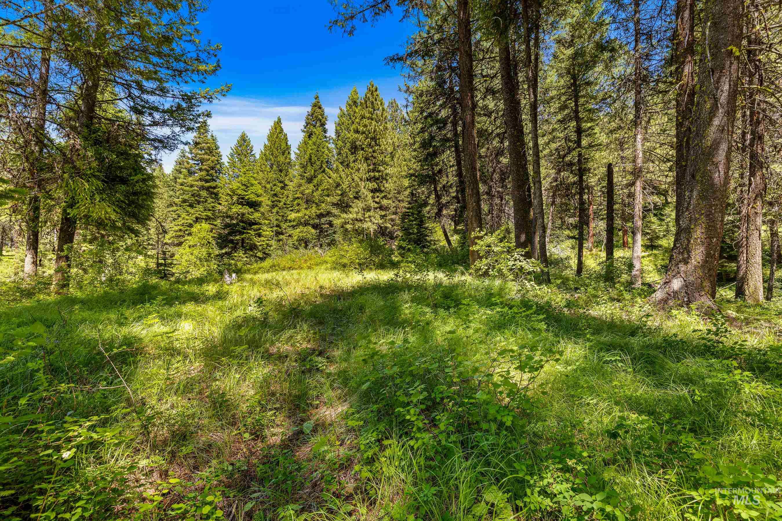 2 Spruce Hill Road, McCall, Idaho 83638, Land For Sale, Price $381,650,MLS 98982797