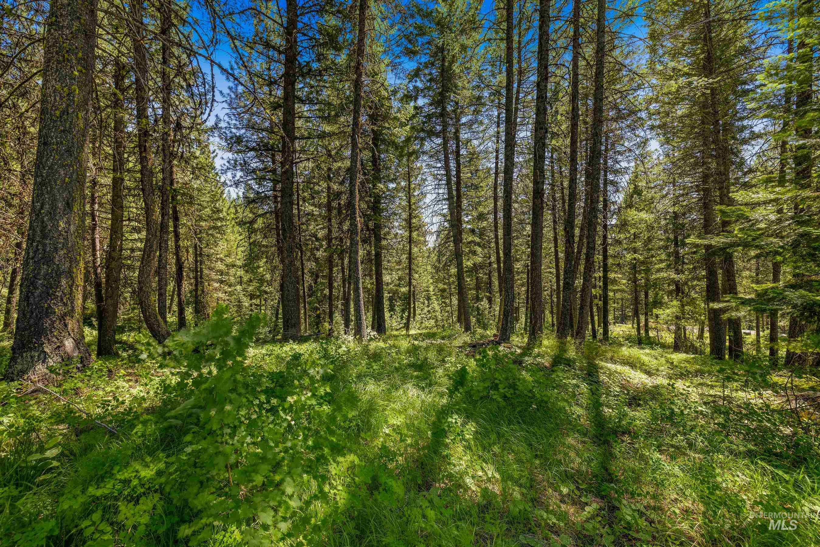 2 Spruce Hill Road, McCall, Idaho 83638, Land For Sale, Price $381,650,MLS 98982797