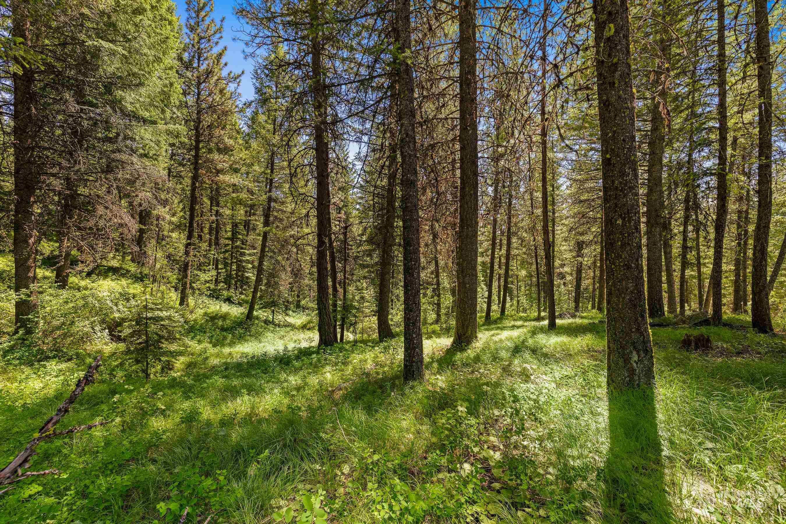 2 Spruce Hill Road, McCall, Idaho 83638, Land For Sale, Price $381,650,MLS 98982797