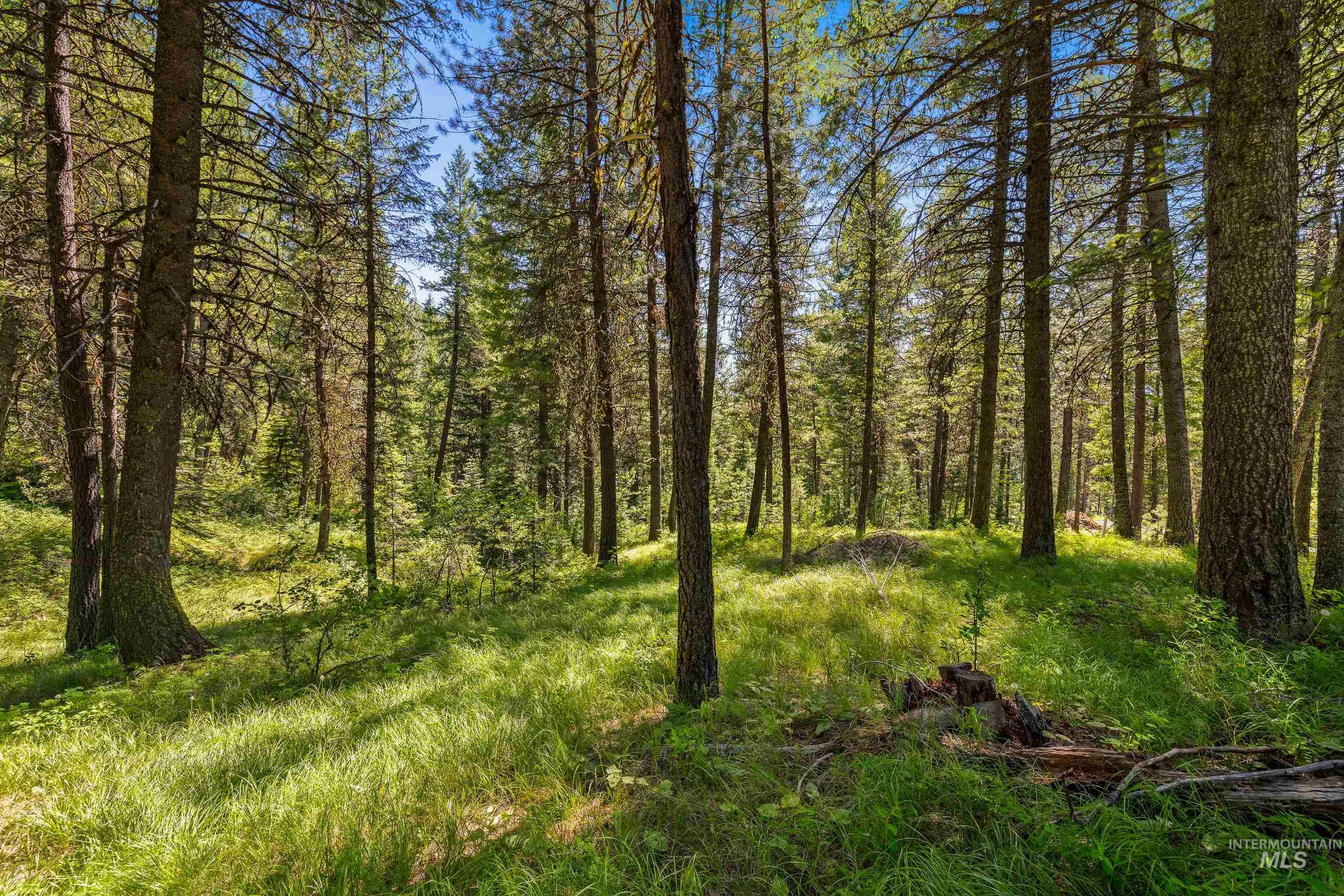 2 Spruce Hill Road, McCall, Idaho 83638, Land For Sale, Price $381,650,MLS 98982797