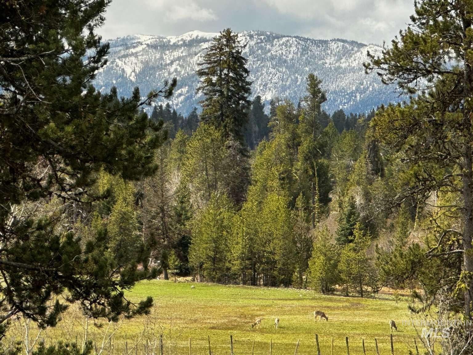 14159 Jefferson Rd, McCall, Idaho 83638, 3 Bedrooms, 3 Bathrooms, Residential For Sale, Price $1,295,000, 98982804