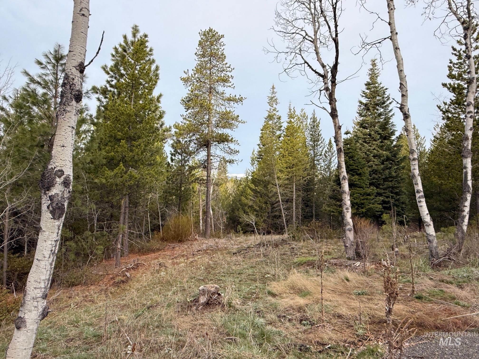 11 Sawtooth Loop, Cascade, Idaho 83611, Land For Sale, Price $479,000, 98982809