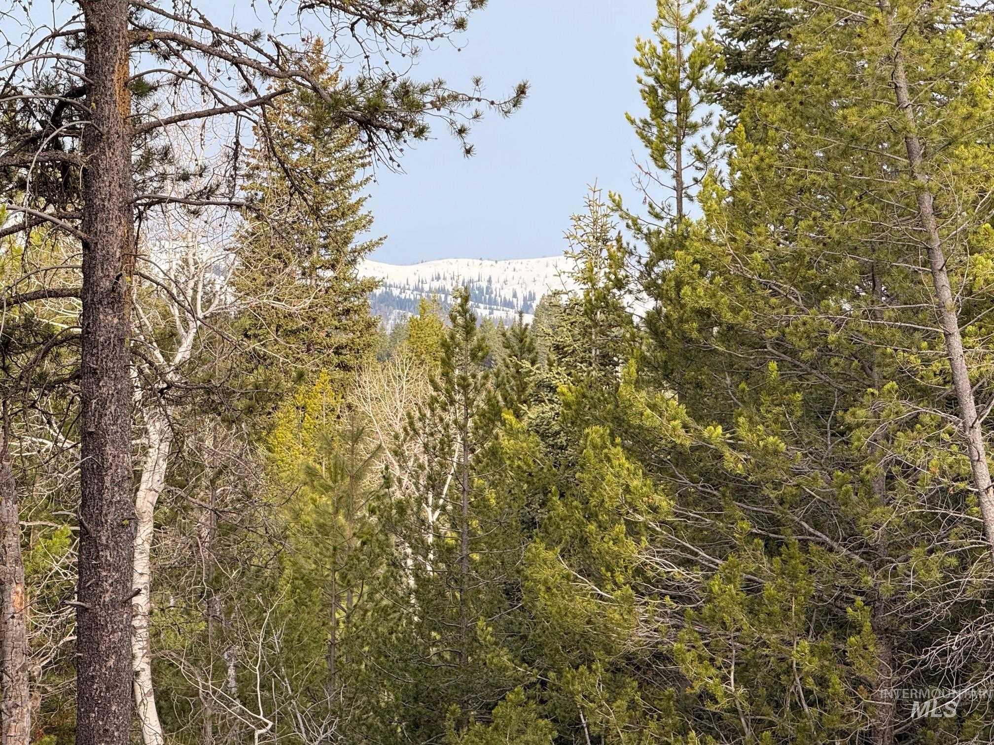 11 Sawtooth Loop, Cascade, Idaho 83611, Land For Sale, Price $479,000, 98982809