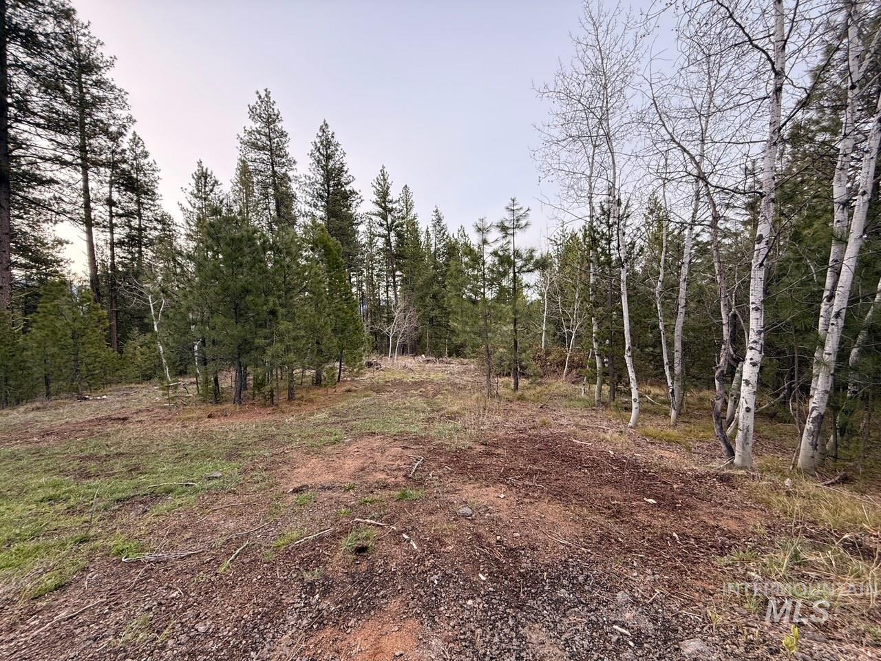 11 Sawtooth Loop, Cascade, Idaho 83611, Land For Sale, Price $479,000, 98982809
