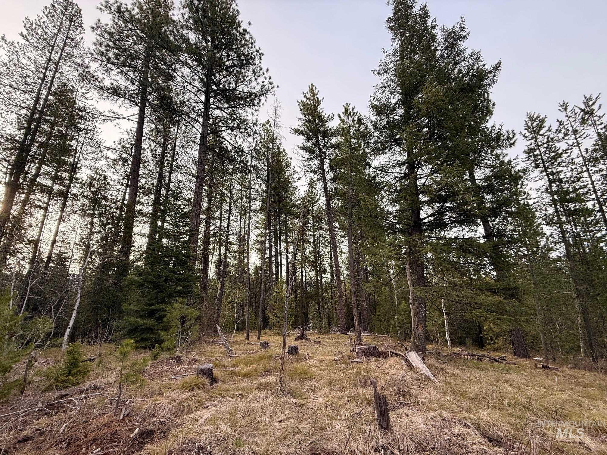 11 Sawtooth Loop, Cascade, Idaho 83611, Land For Sale, Price $479,000, 98982809