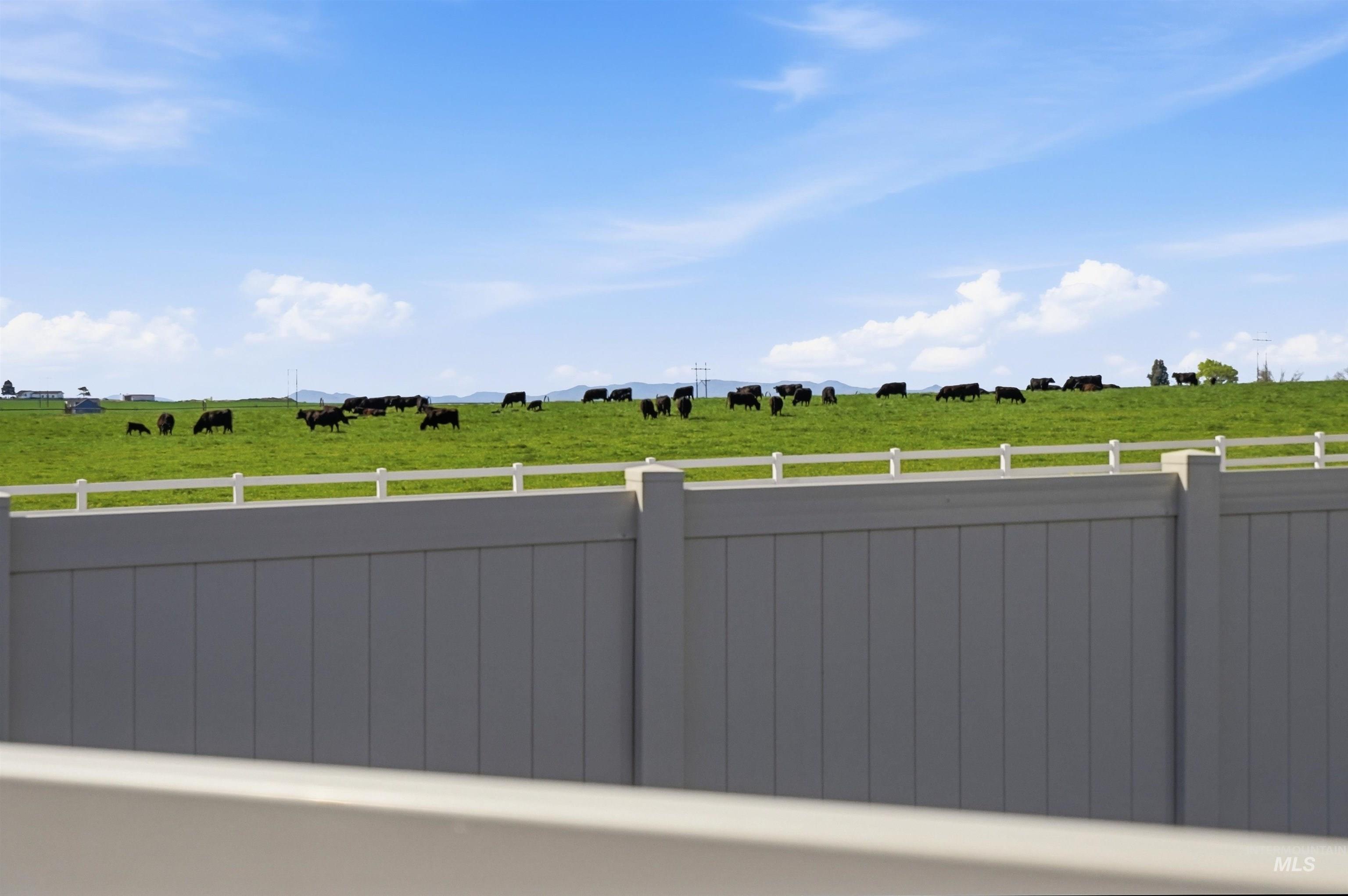 15038 Cumulus Place, Caldwell, Idaho 83607, 3 Bedrooms, 2 Bathrooms, Residential For Sale, Price $400,000,MLS 98982813