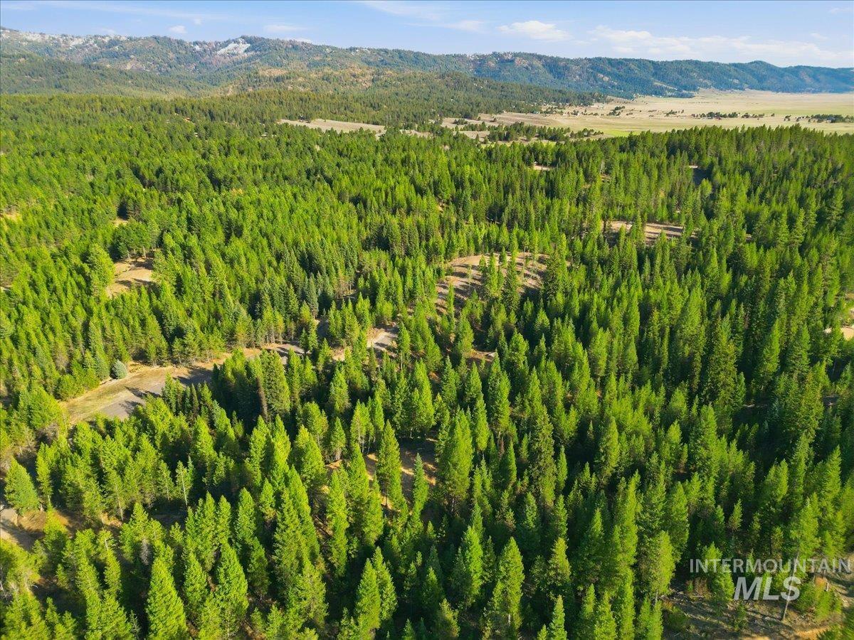 19 Dakota Way, Cascade, Idaho 83611, Land For Sale, Price $250,000, 98982839