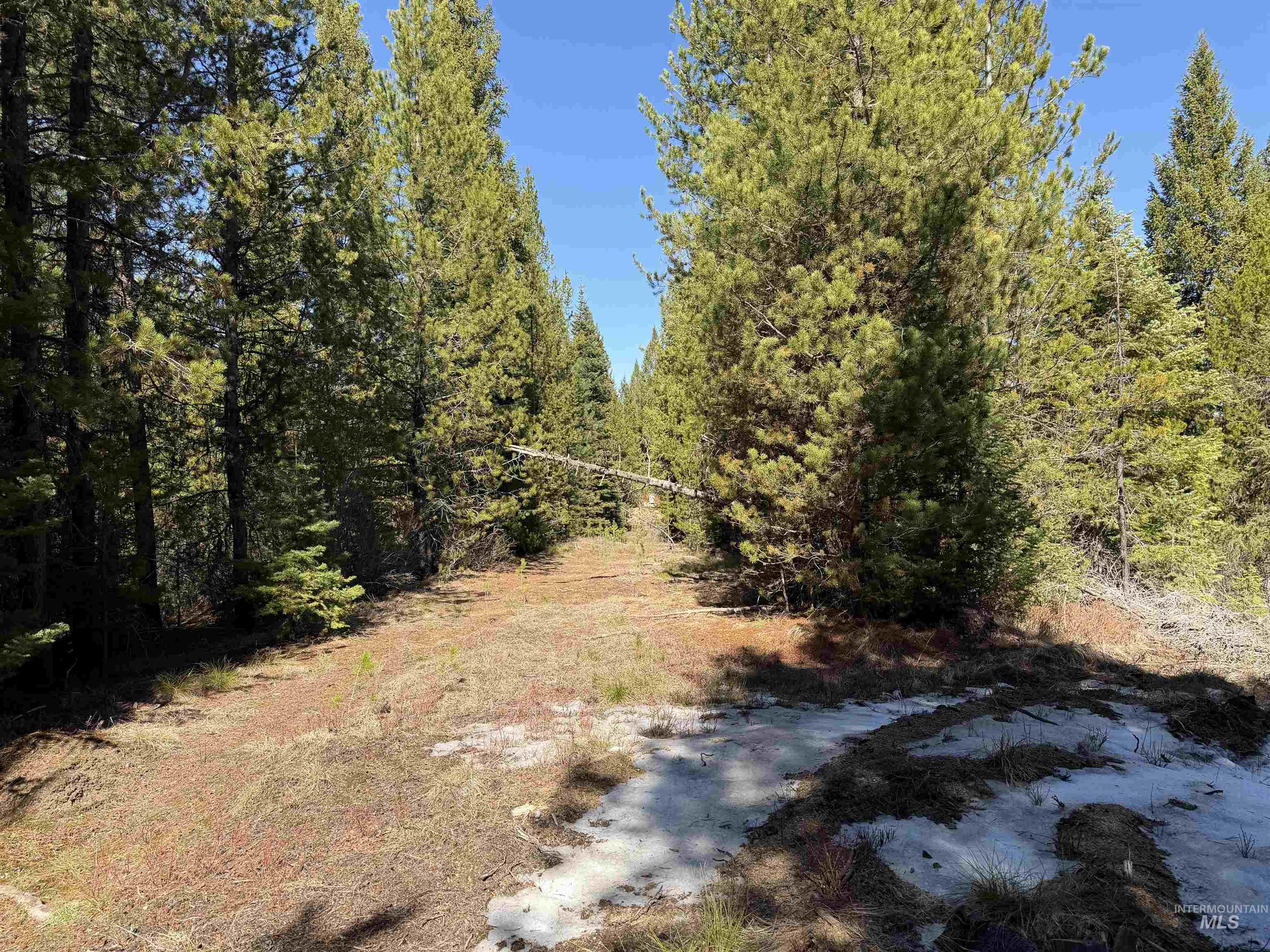 19 Dakota Way, Cascade, Idaho 83611, Land For Sale, Price $250,000, 98982839