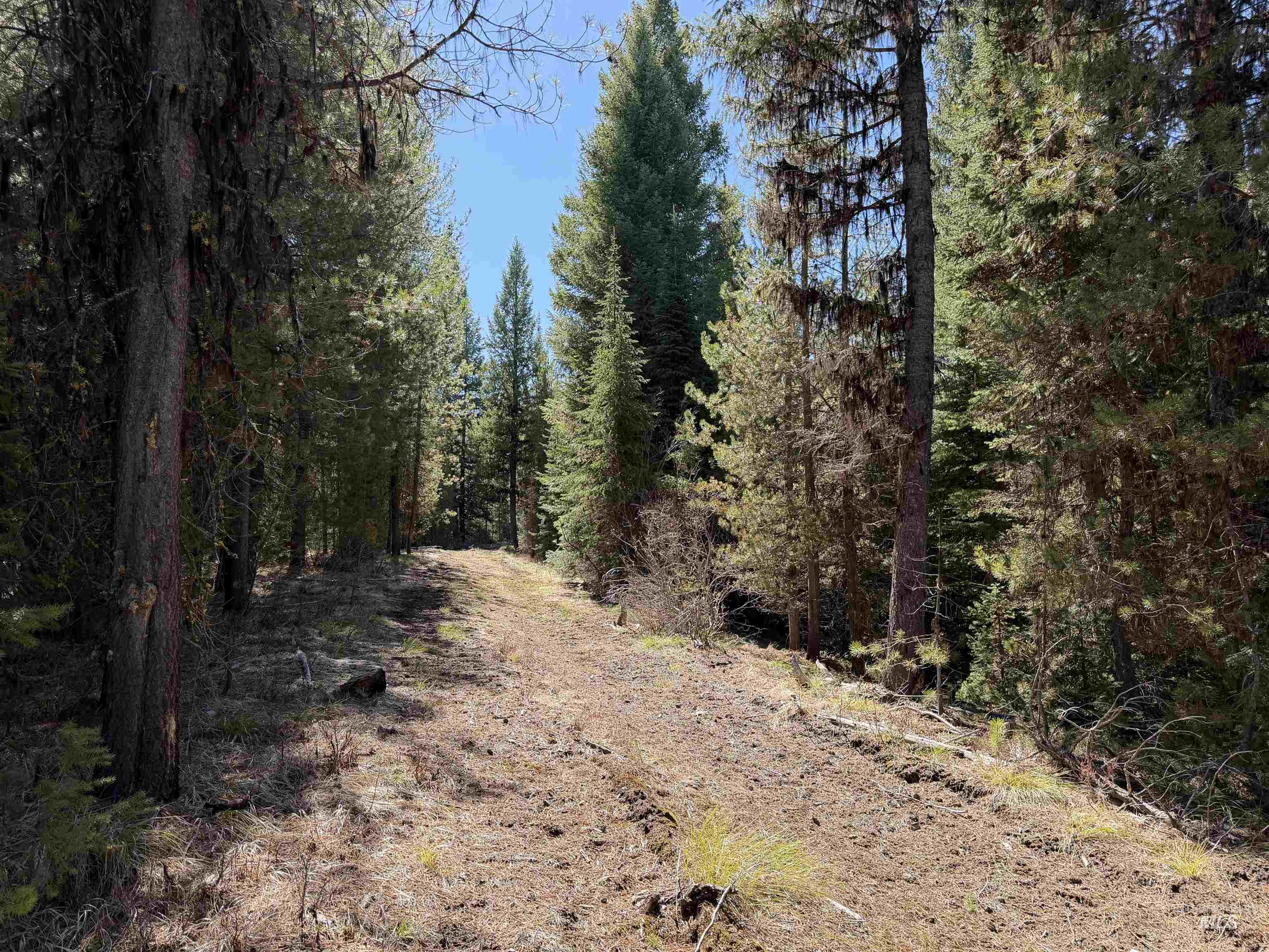 19 Dakota Way, Cascade, Idaho 83611, Land For Sale, Price $250,000, 98982839
