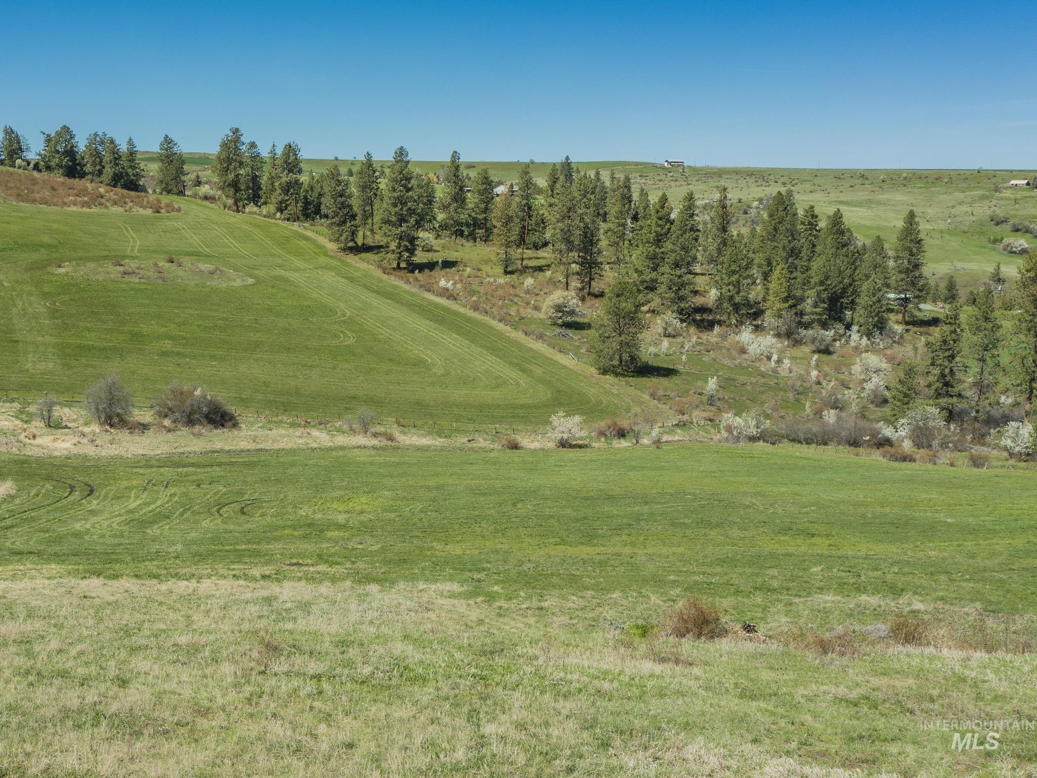 TBD Highway 13 Parcel 2, Grangeville, Idaho 83530, Land For Sale, Price $199,000, 98982841