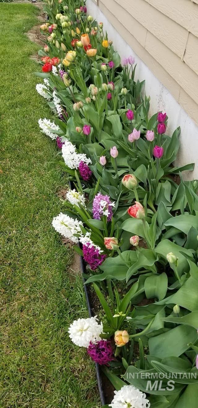 350 N Burton, Burley, Idaho 83318, 3 Bedrooms, 3 Bathrooms, Residential For Sale, Price $455,000,MLS 98982847