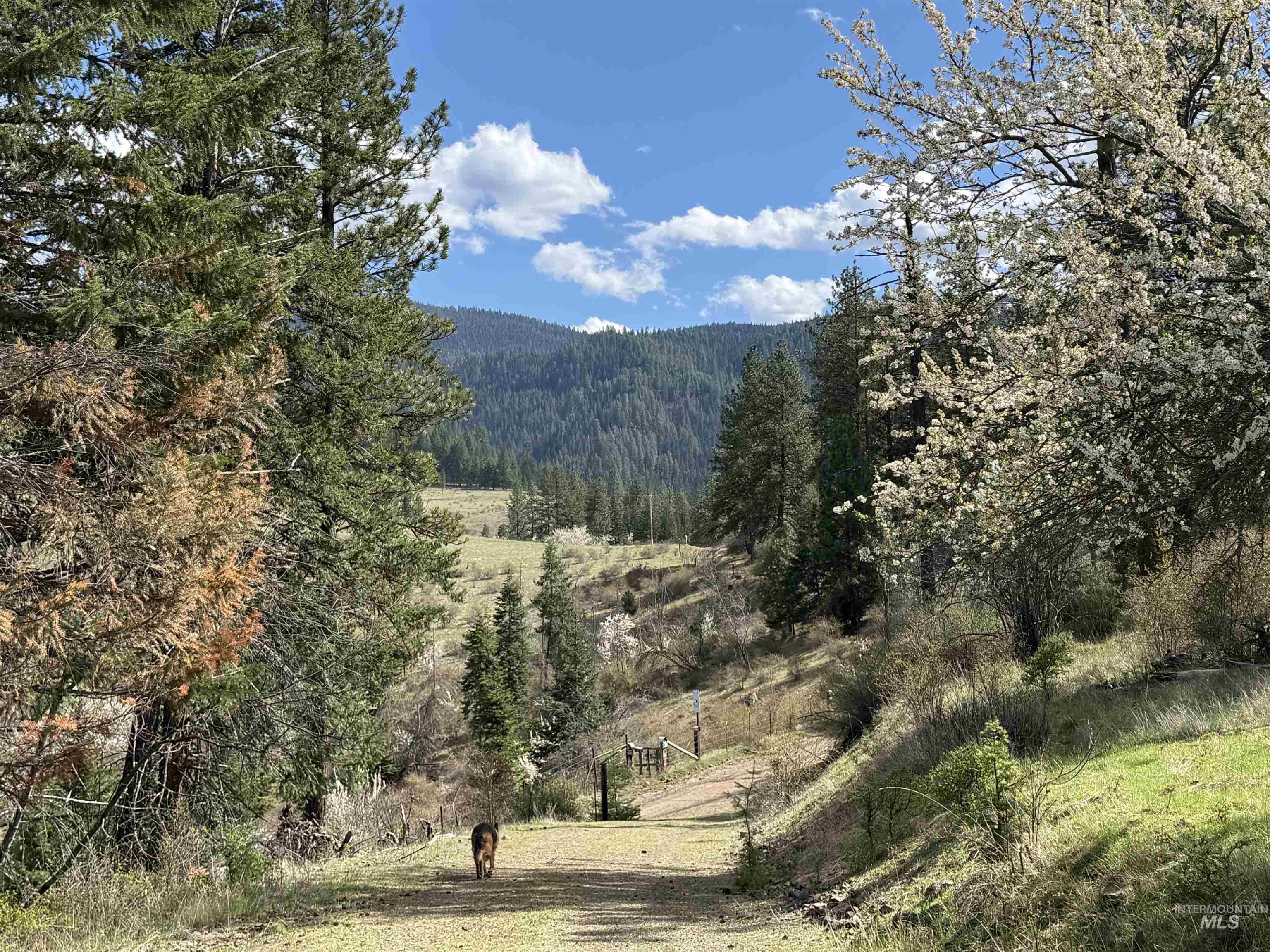 442 Elk City Wagon Rd, Clearwater, Idaho 83552, Land For Sale, Price $175,000,MLS 98982851