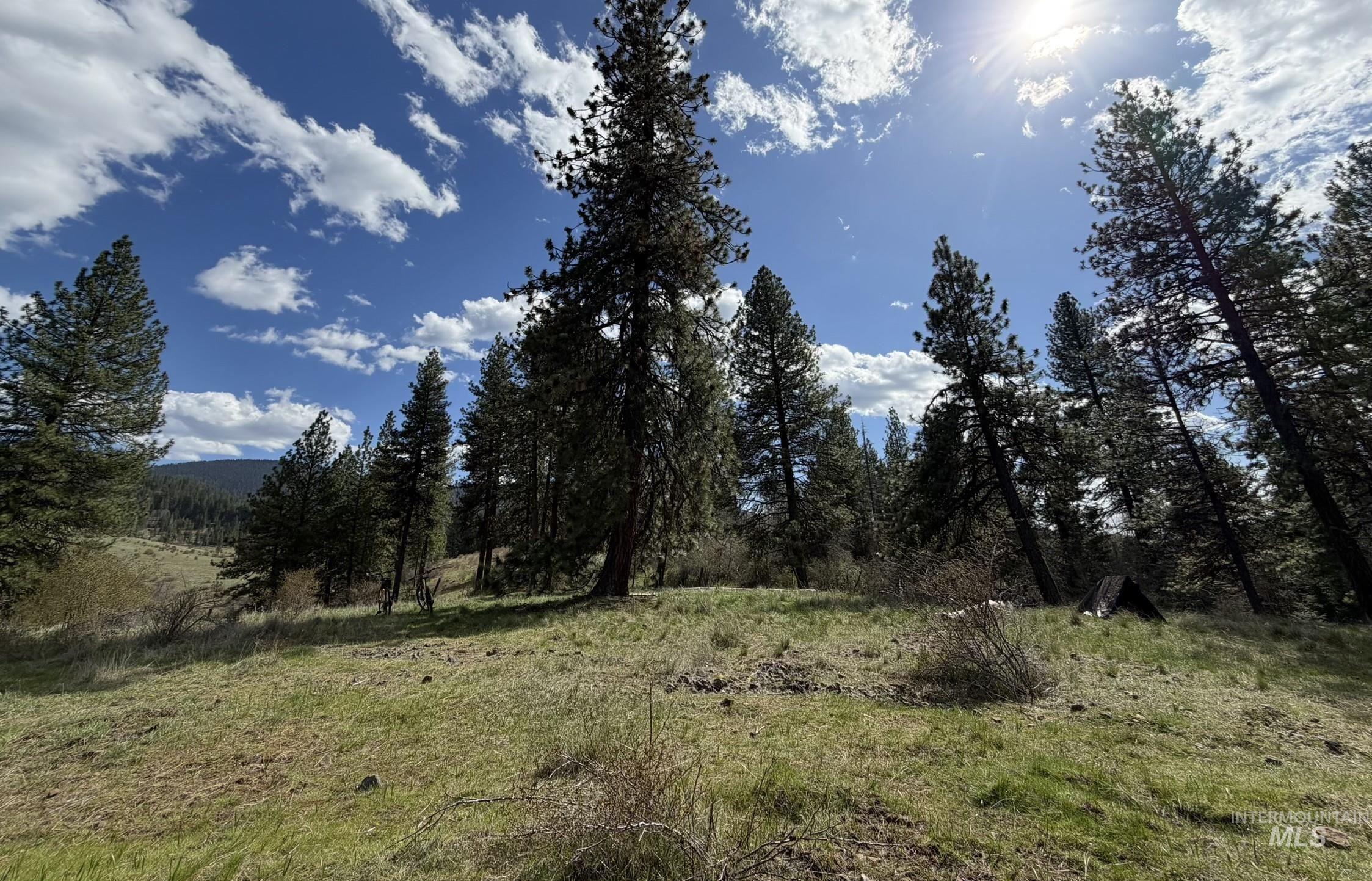 442 Elk City Wagon Rd, Clearwater, Idaho 83552, Land For Sale, Price $175,000,MLS 98982851