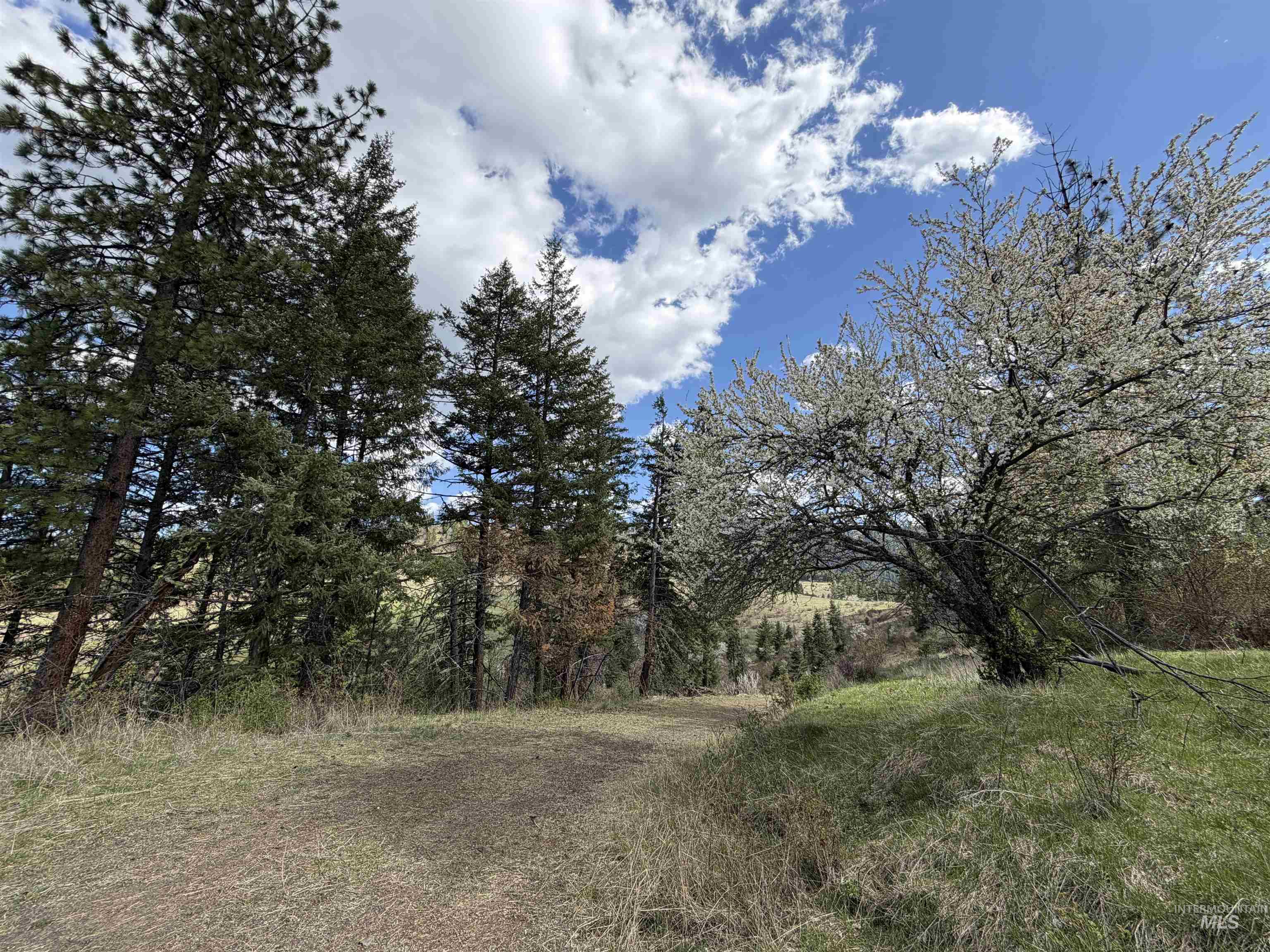 442 Elk City Wagon Rd, Clearwater, Idaho 83552, Land For Sale, Price $175,000,MLS 98982851