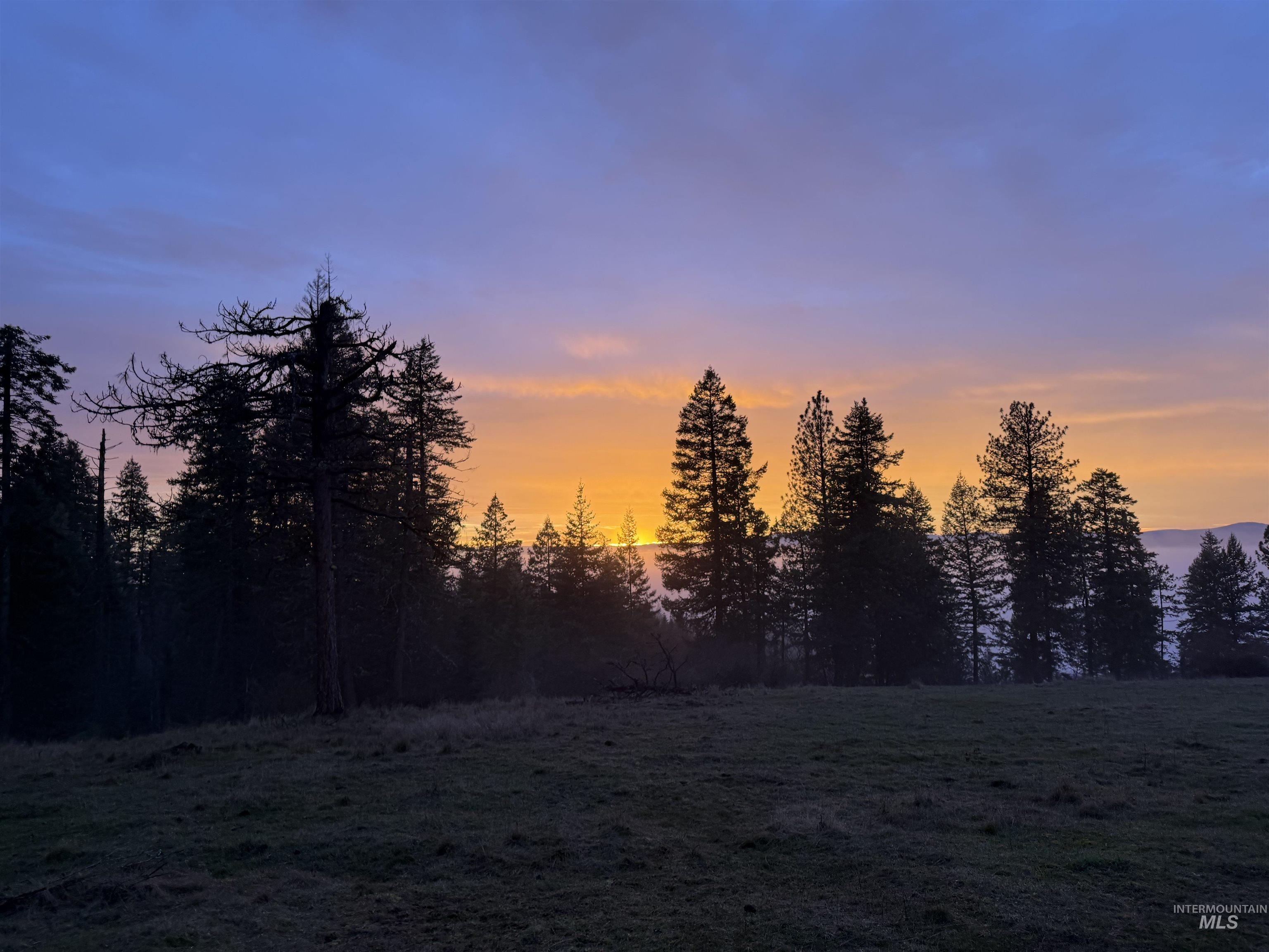 442 Elk City Wagon Rd, Clearwater, Idaho 83552, Land For Sale, Price $175,000,MLS 98982851