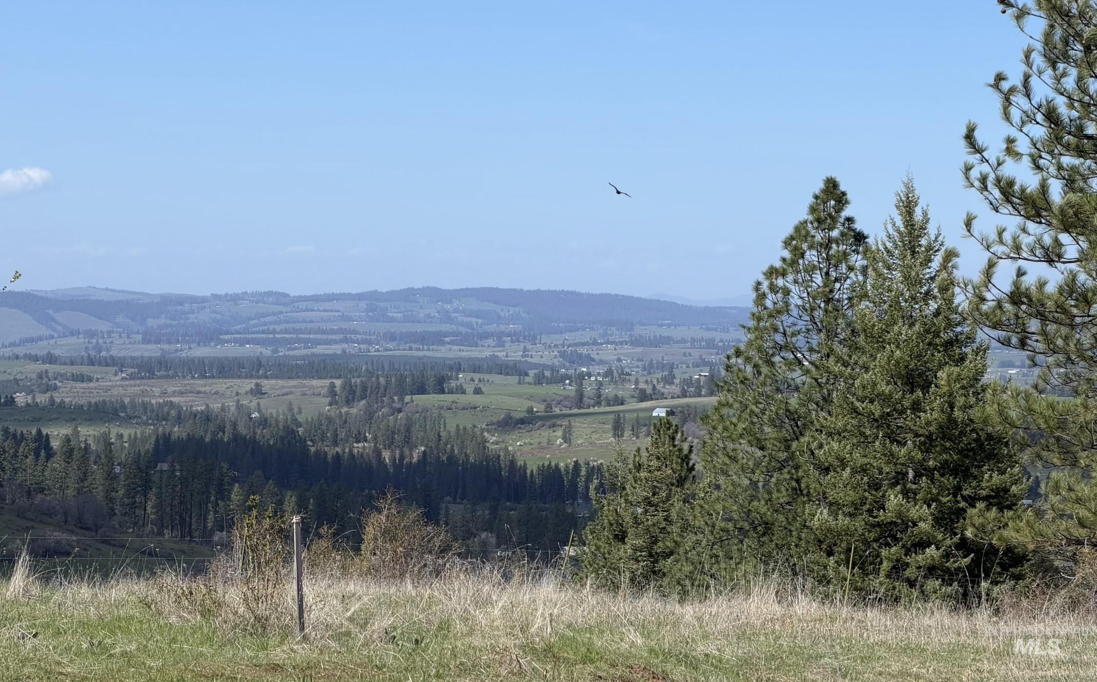 442 Elk City Wagon Rd, Clearwater, Idaho 83552, Land For Sale, Price $175,000,MLS 98982851