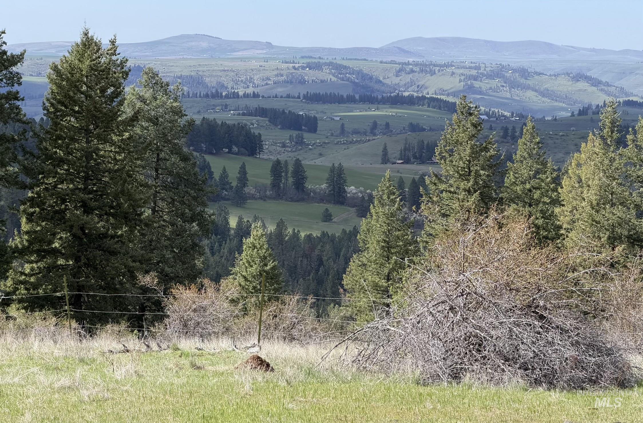 442 Elk City Wagon Rd, Clearwater, Idaho 83552, Land For Sale, Price $175,000,MLS 98982851