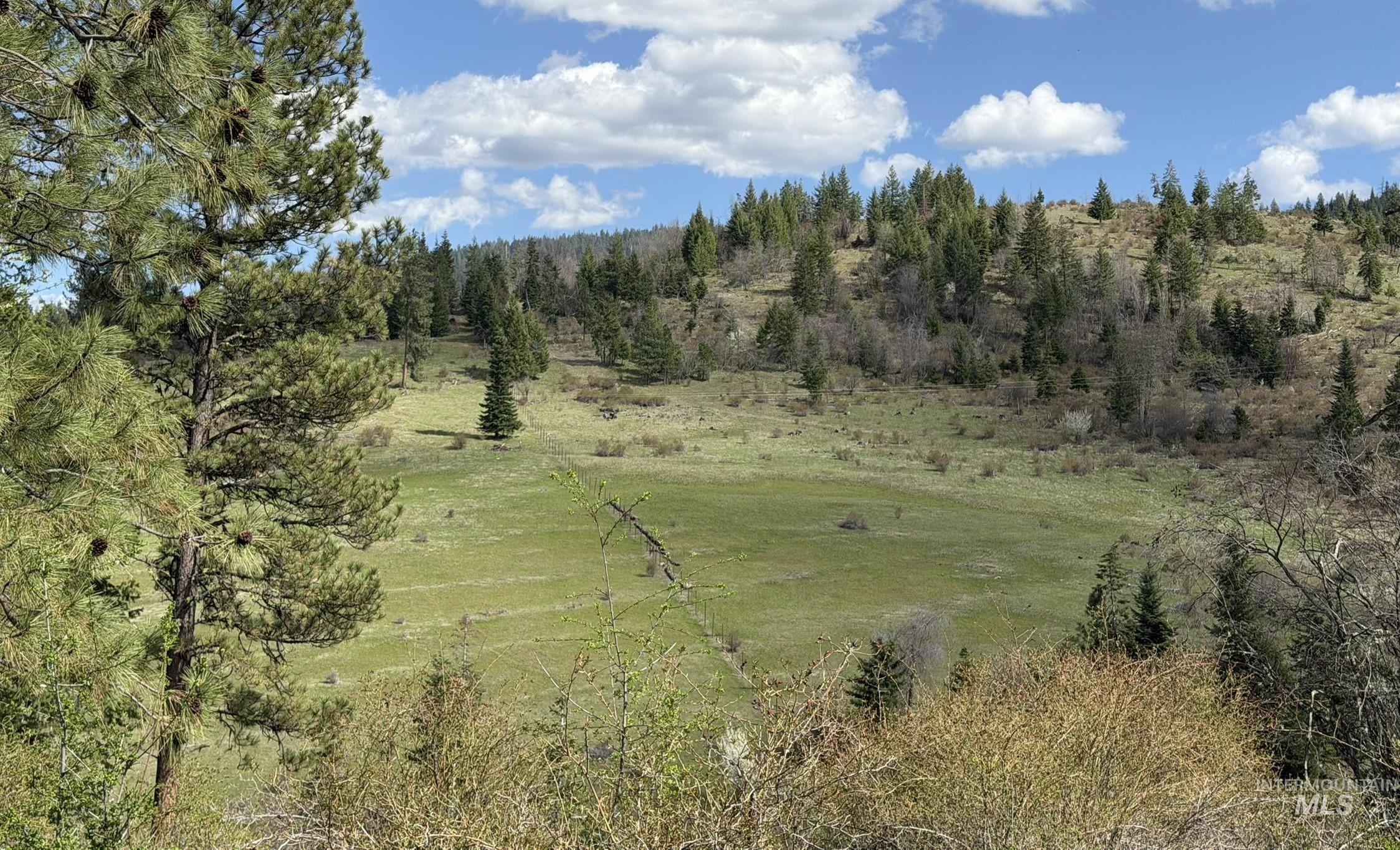 442 Elk City Wagon Rd, Clearwater, Idaho 83552, Land For Sale, Price $175,000,MLS 98982851