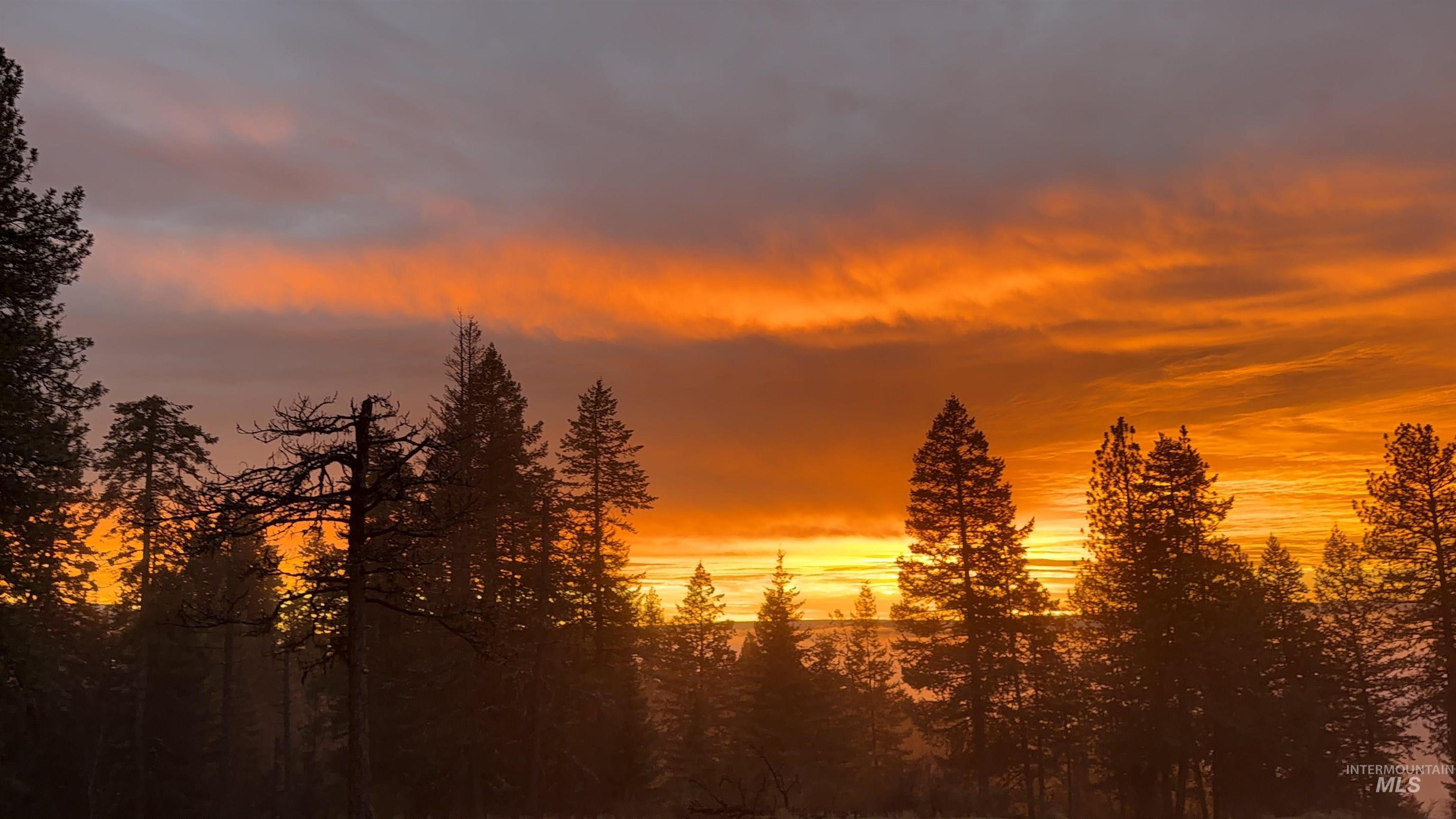 442 Elk City Wagon Rd, Clearwater, Idaho 83552, Land For Sale, Price $175,000,MLS 98982851