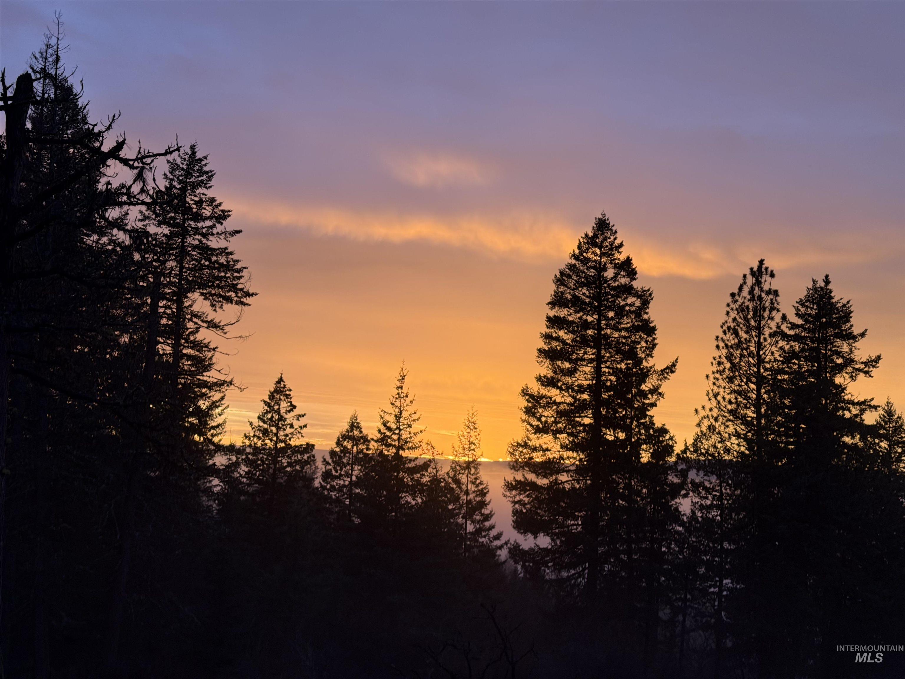 442 Elk City Wagon Rd, Clearwater, Idaho 83552, Land For Sale, Price $175,000,MLS 98982851