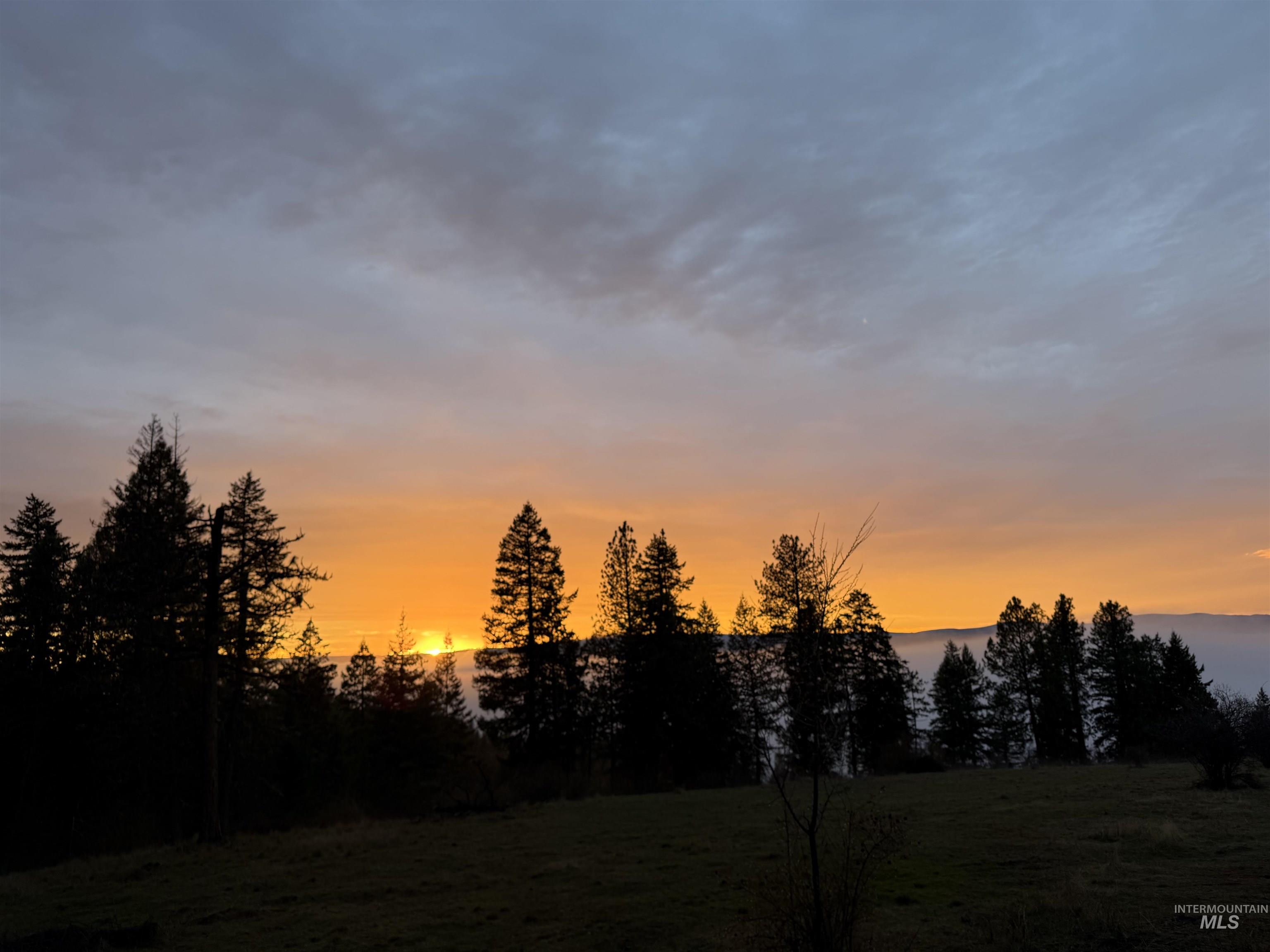 442 Elk City Wagon Rd, Clearwater, Idaho 83552, Land For Sale, Price $175,000,MLS 98982851