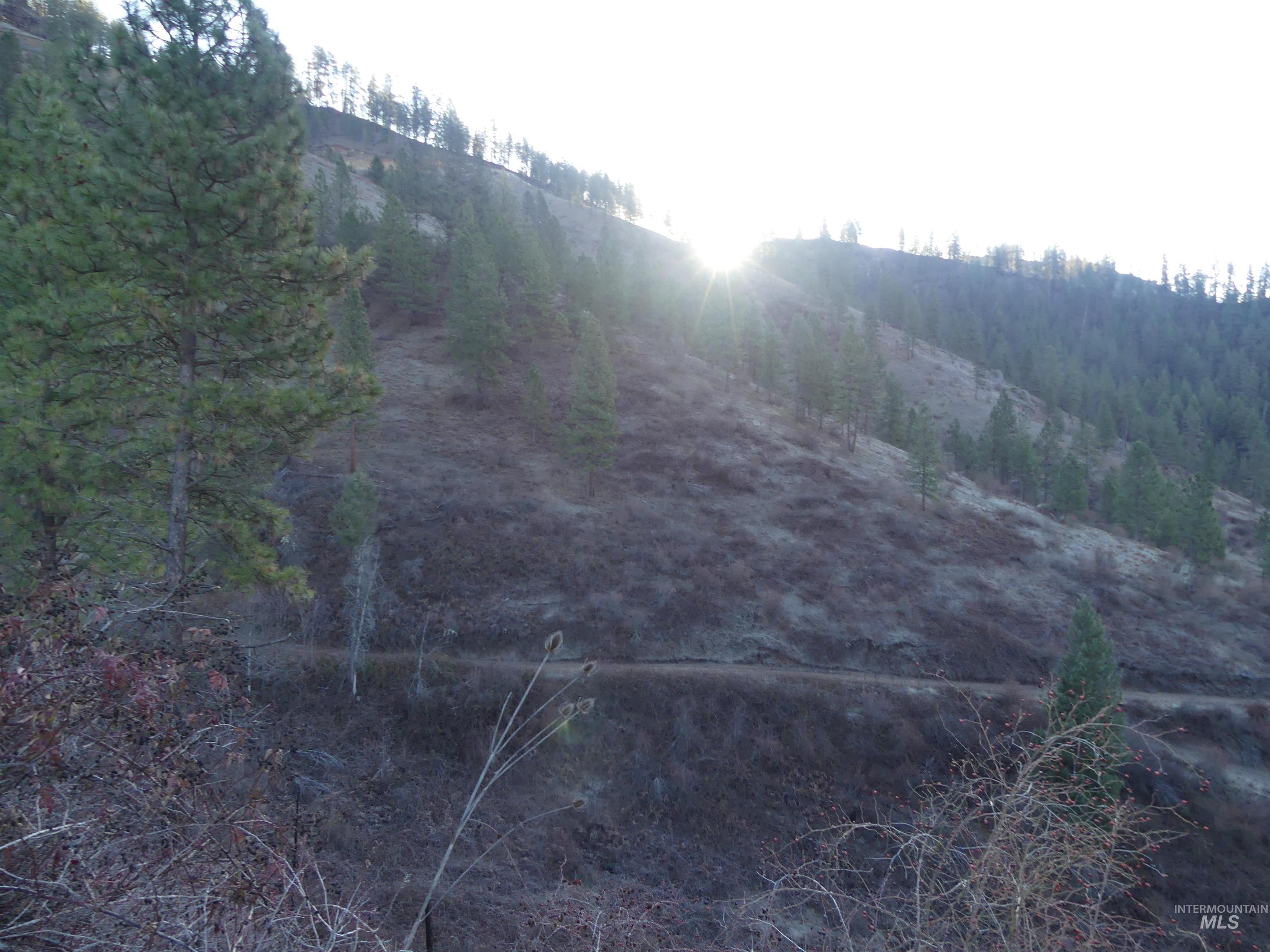 1408 Carrot Ridge Road, Greer, Idaho 83536-0000, Land For Sale, Price $1,378,000, 98982852