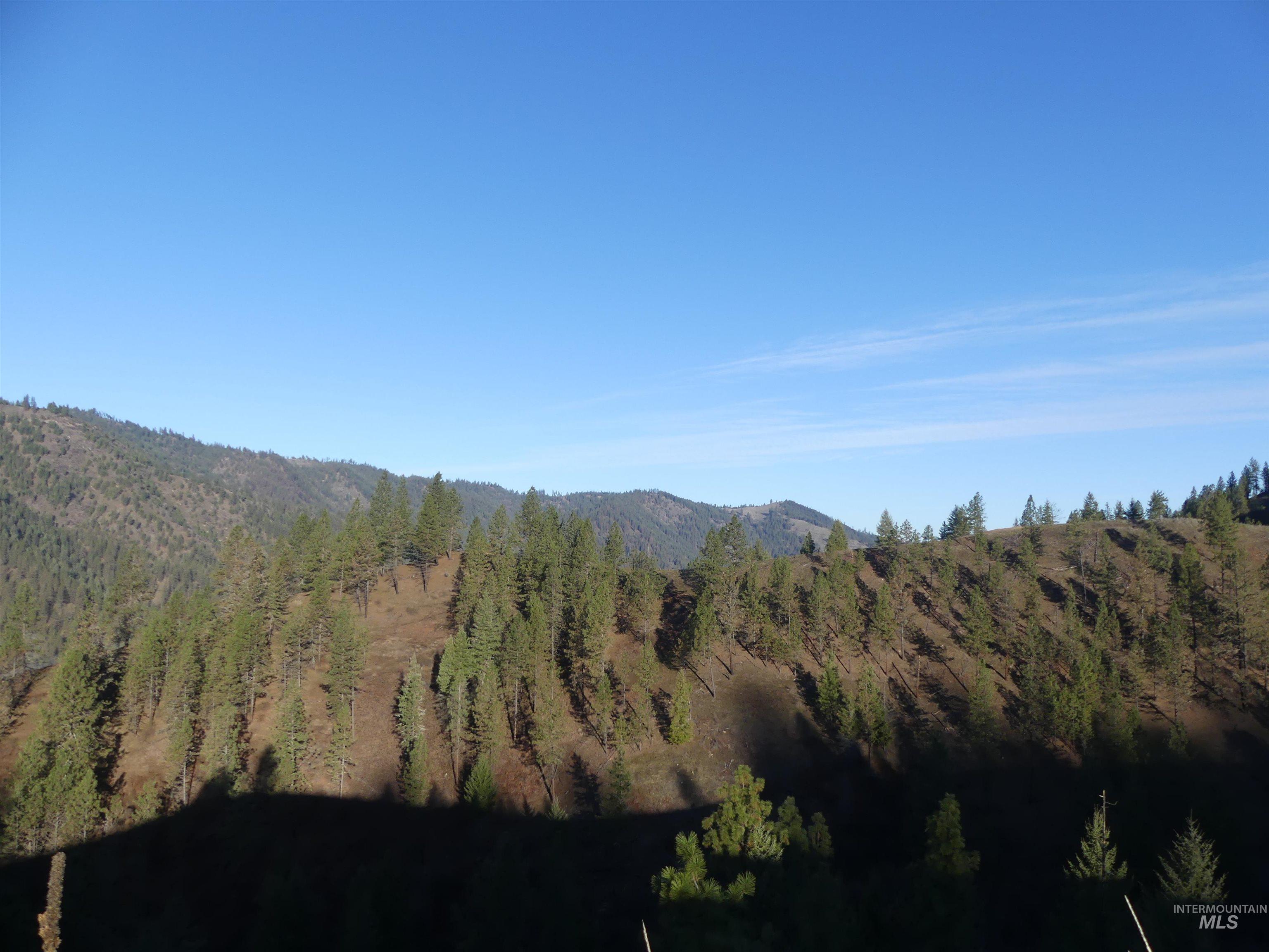 1404 Carrot Ridge Road, Greer, Idaho 83536-0000, Land For Sale, Price $1,378,000, 98982852