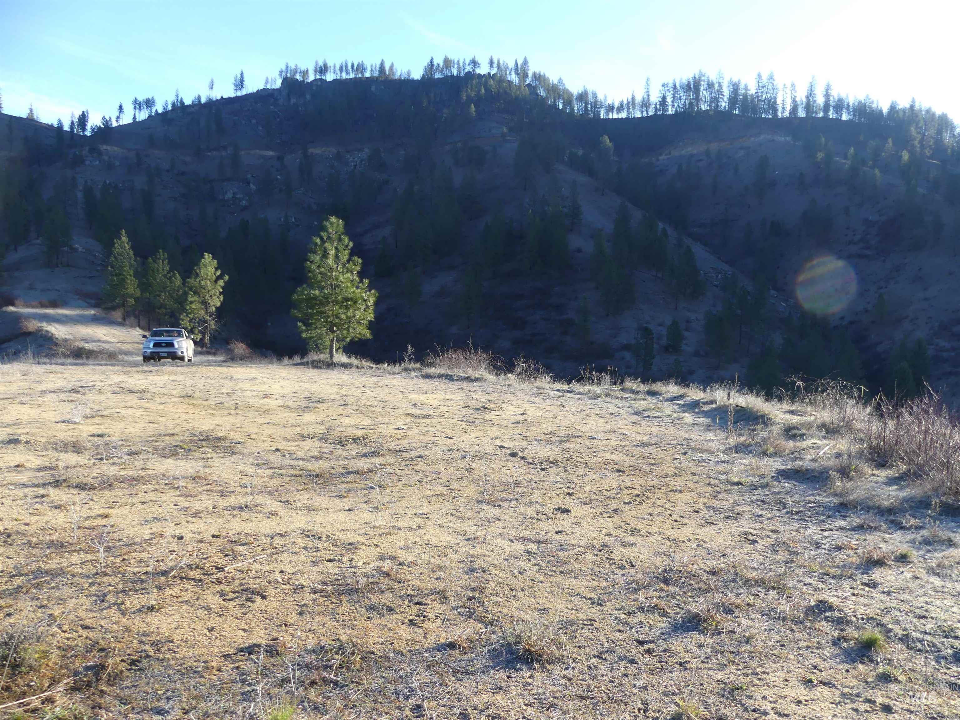 1404 Carrot Ridge Road, Greer, Idaho 83536-0000, Land For Sale, Price $1,378,000, 98982852