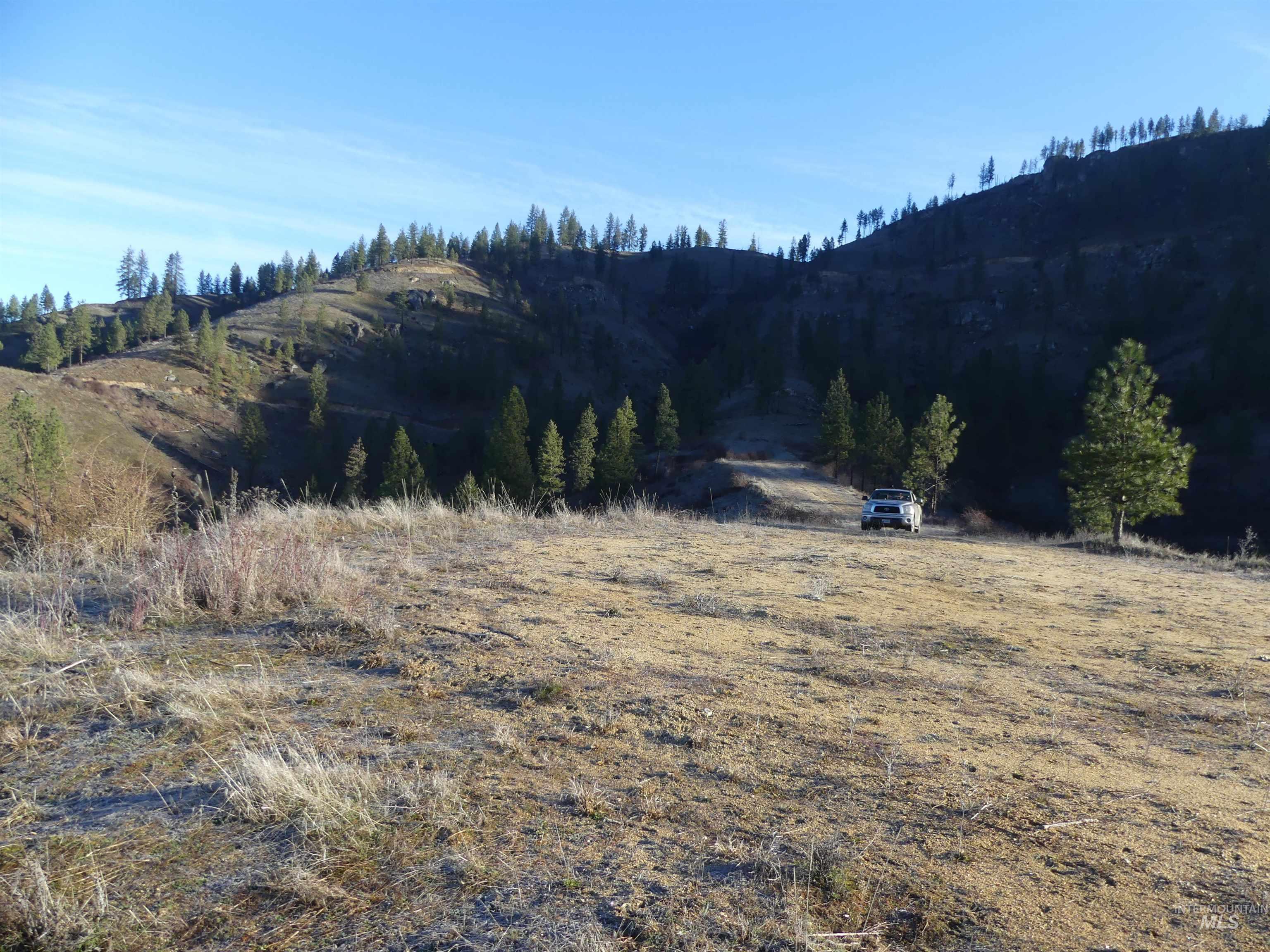 1408 Carrot Ridge Road, Greer, Idaho 83536-0000, Land For Sale, Price $1,378,000, 98982852