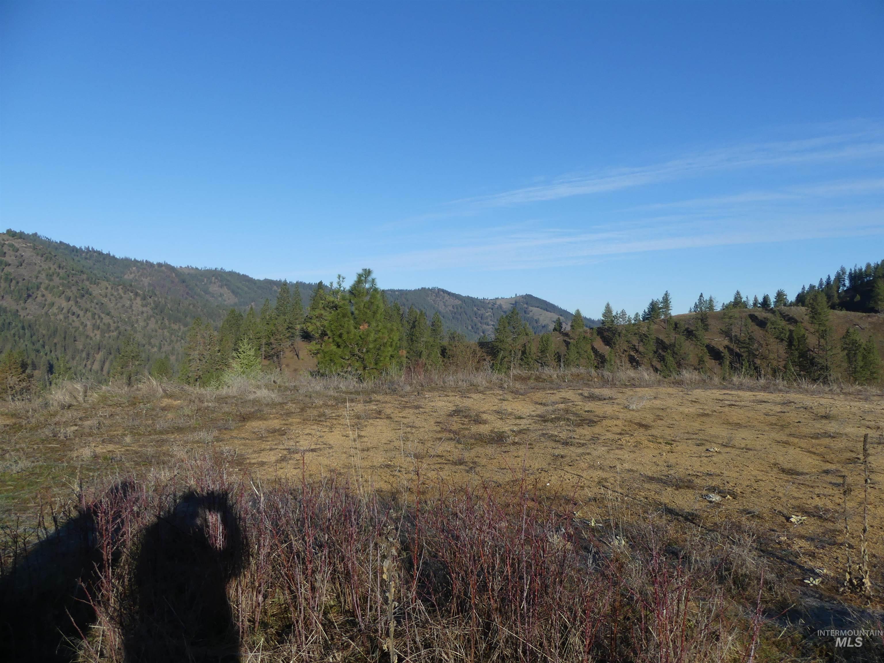 1404 Carrot Ridge Road, Greer, Idaho 83536-0000, Land For Sale, Price $1,378,000, 98982852