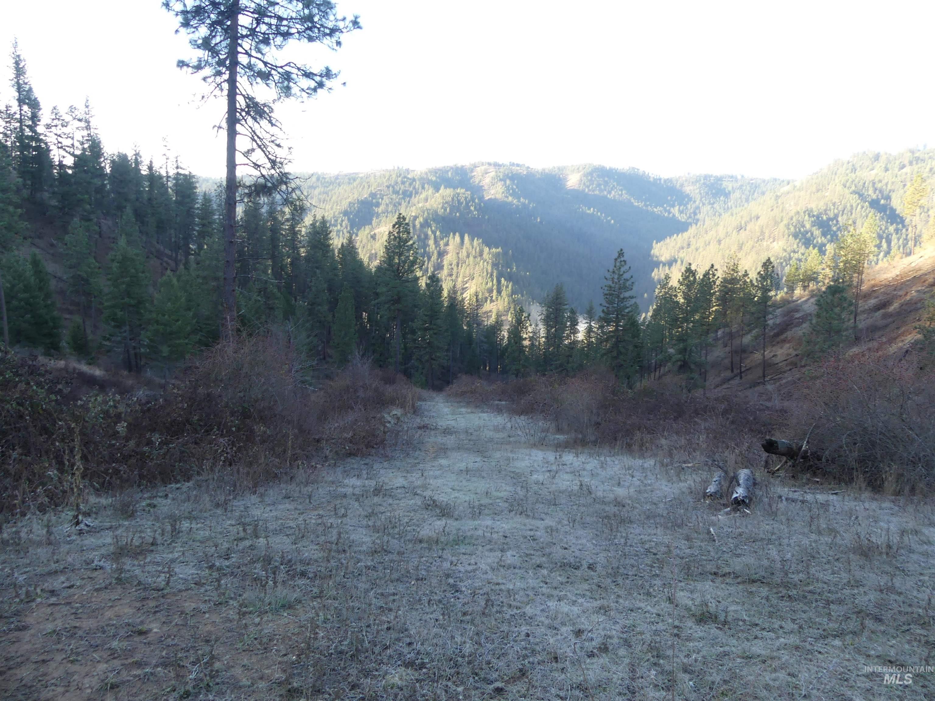 1408 Carrot Ridge Road, Greer, Idaho 83536-0000, Land For Sale, Price $1,378,000, 98982852