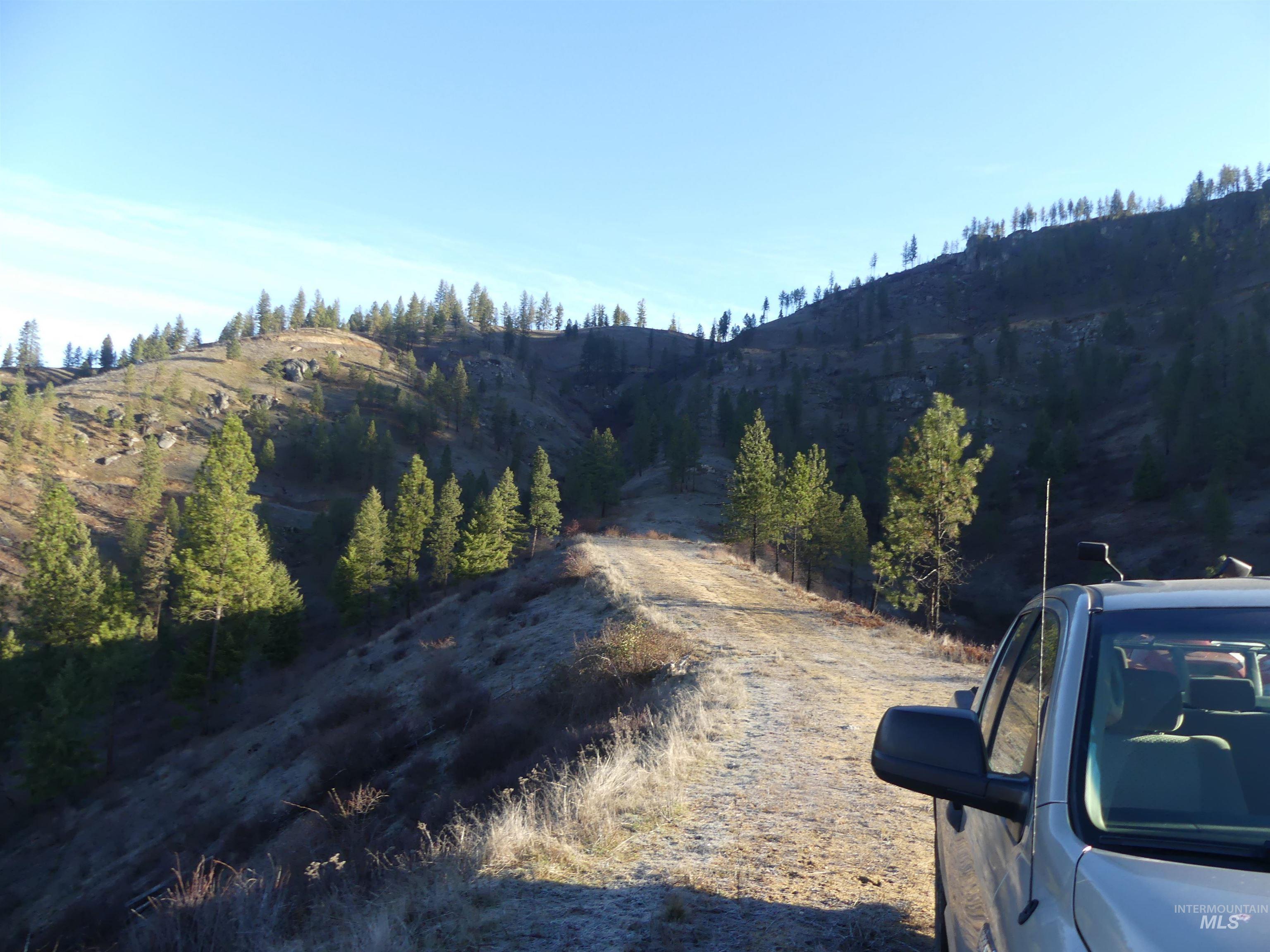 1404 Carrot Ridge Road, Greer, Idaho 83536-0000, Land For Sale, Price $1,378,000, 98982852