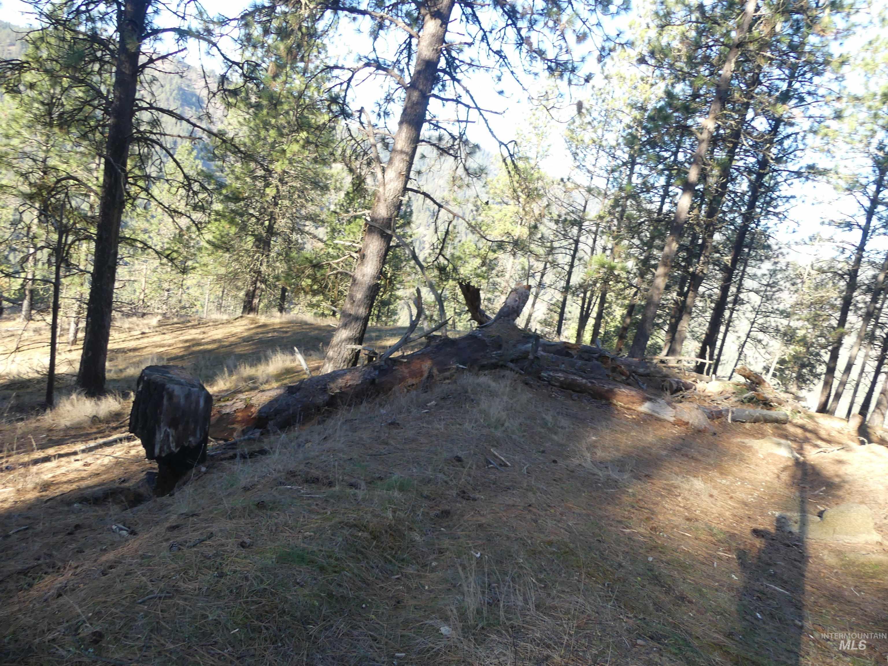 1408 Carrot Ridge Road, Greer, Idaho 83536-0000, Land For Sale, Price $1,378,000, 98982852