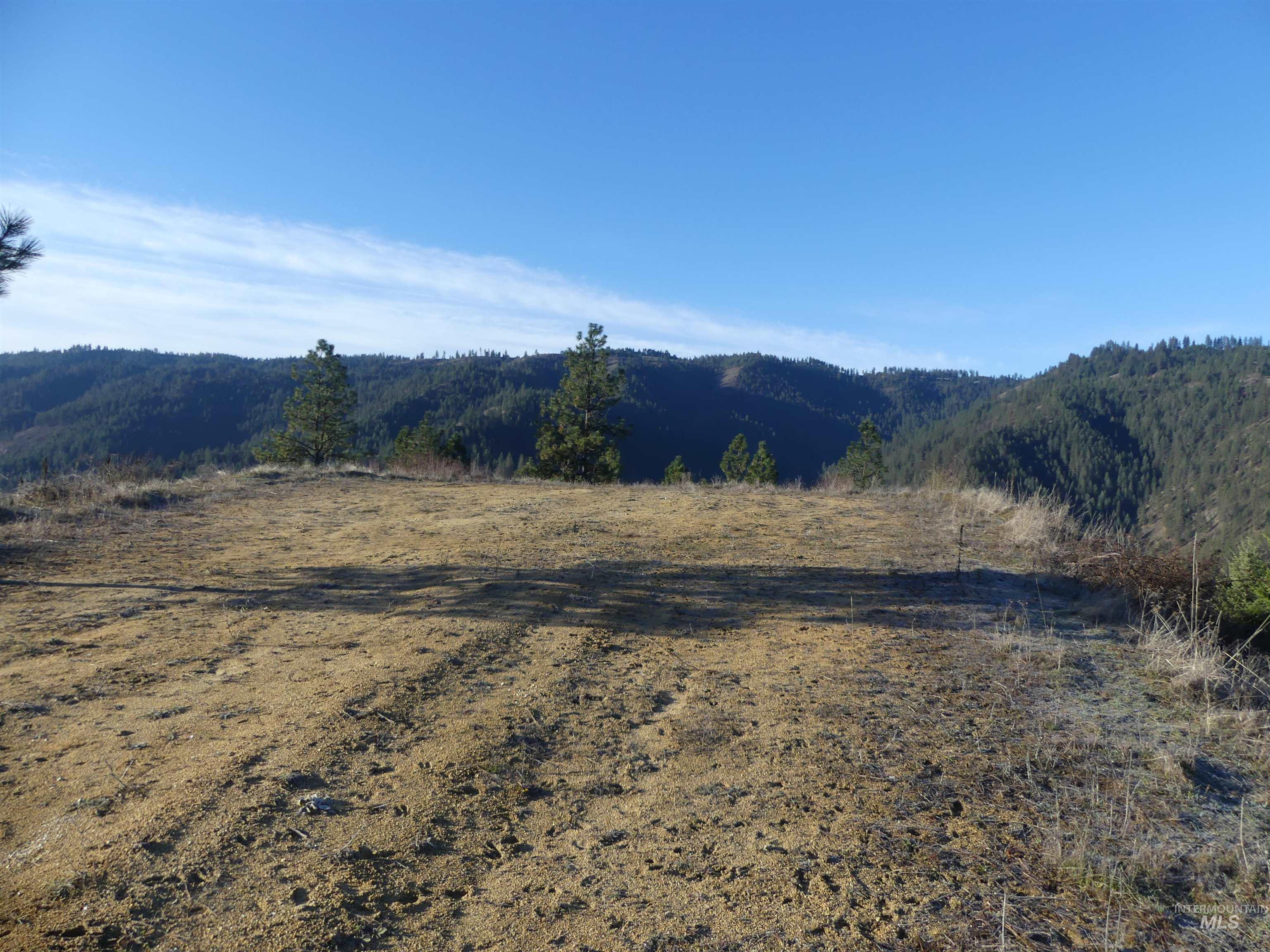 1404 Carrot Ridge Road, Greer, Idaho 83536-0000, Land For Sale, Price $1,378,000, 98982852